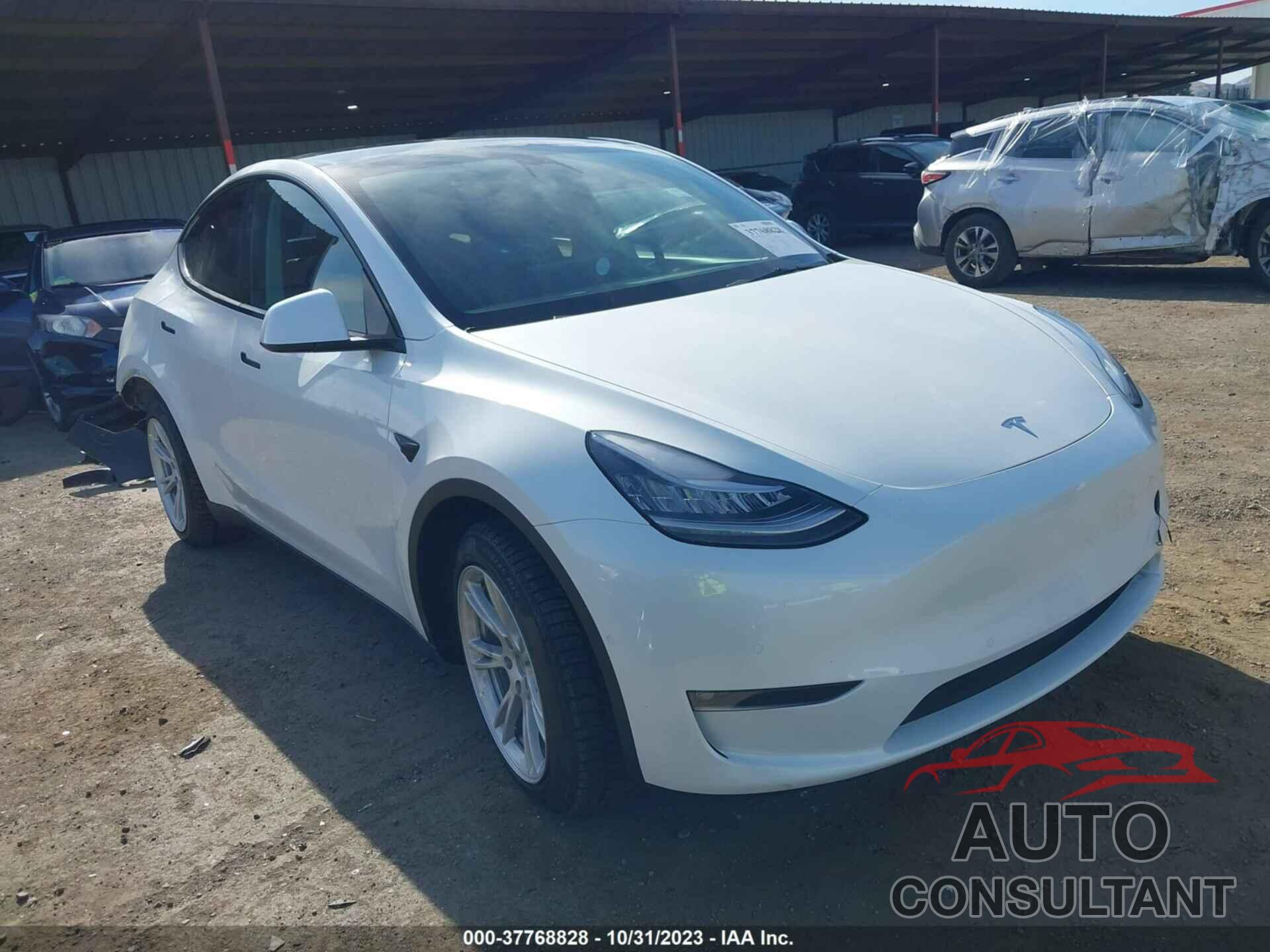 TESLA MODEL Y 2021 - 5YJYGDEEXMF231599