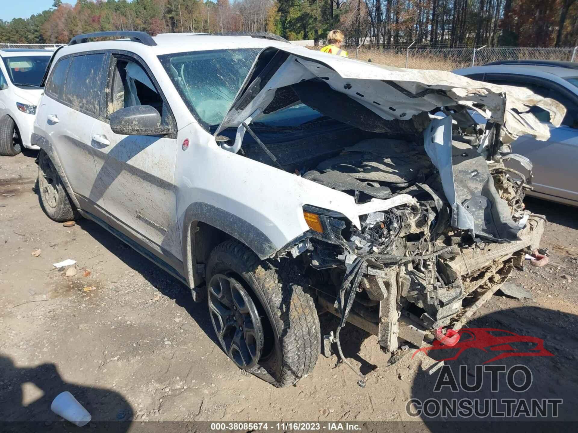 JEEP CHEROKEE 2019 - 1C4PJMBX0KD288739