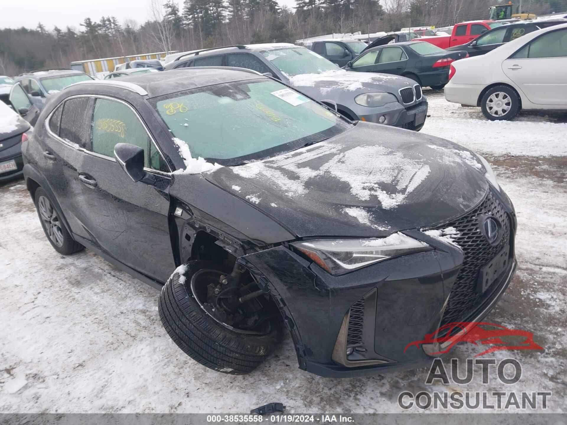 LEXUS UX 2019 - JTHU9JBH6K2012658