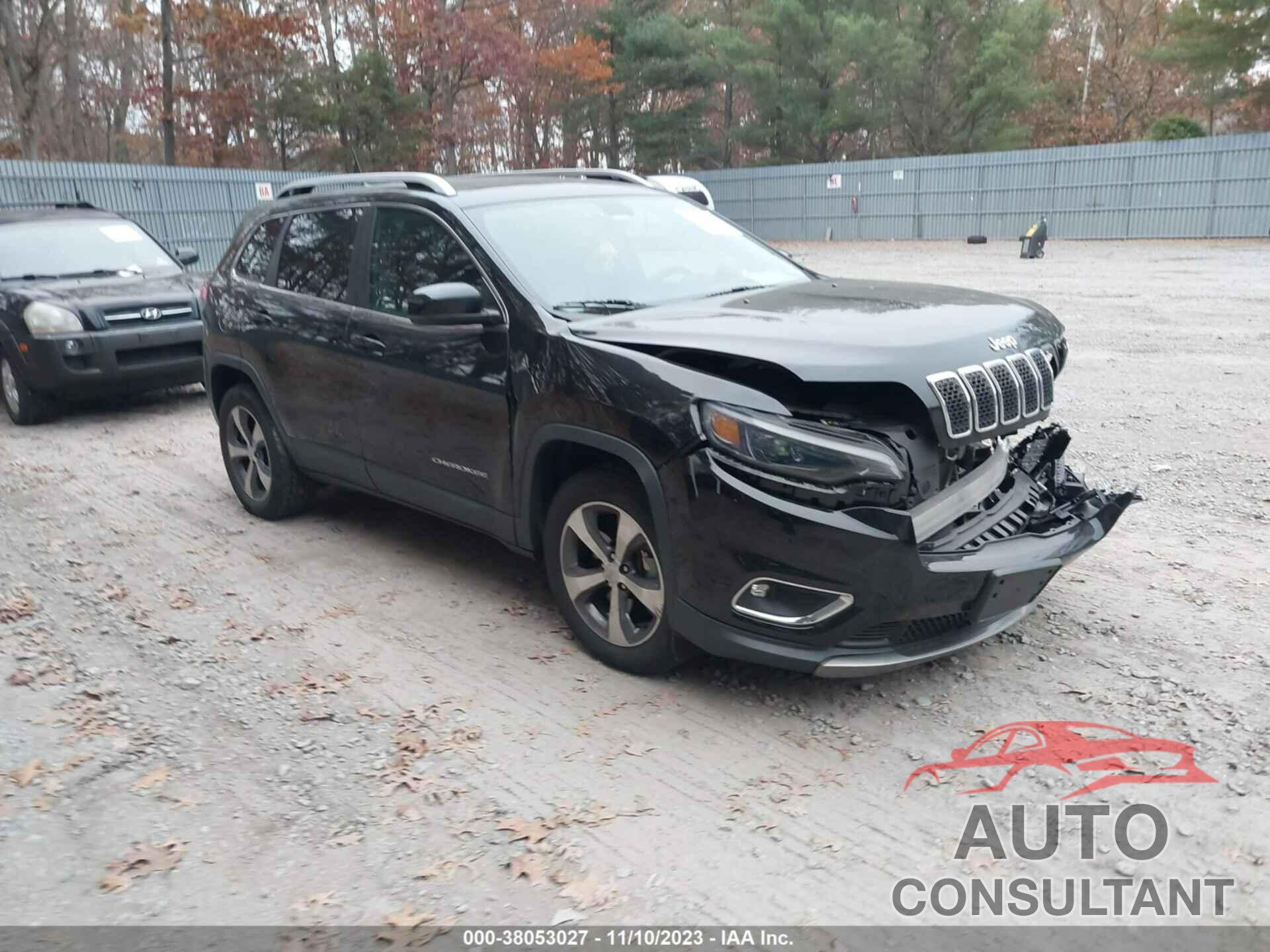 JEEP CHEROKEE 2019 - 1C4PJMDX1KD451007