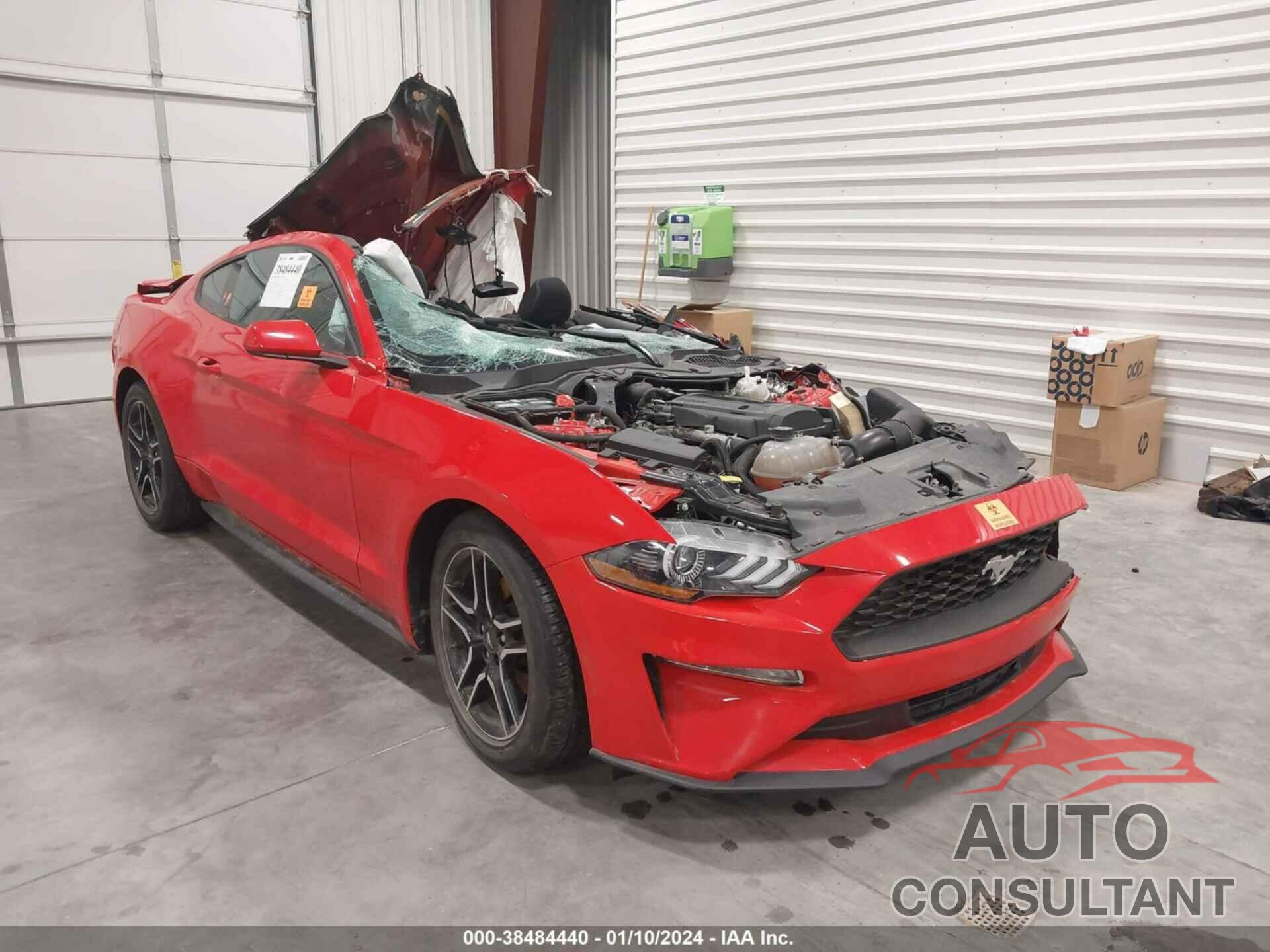 FORD MUSTANG 2019 - 1FA6P8TH4K5174526