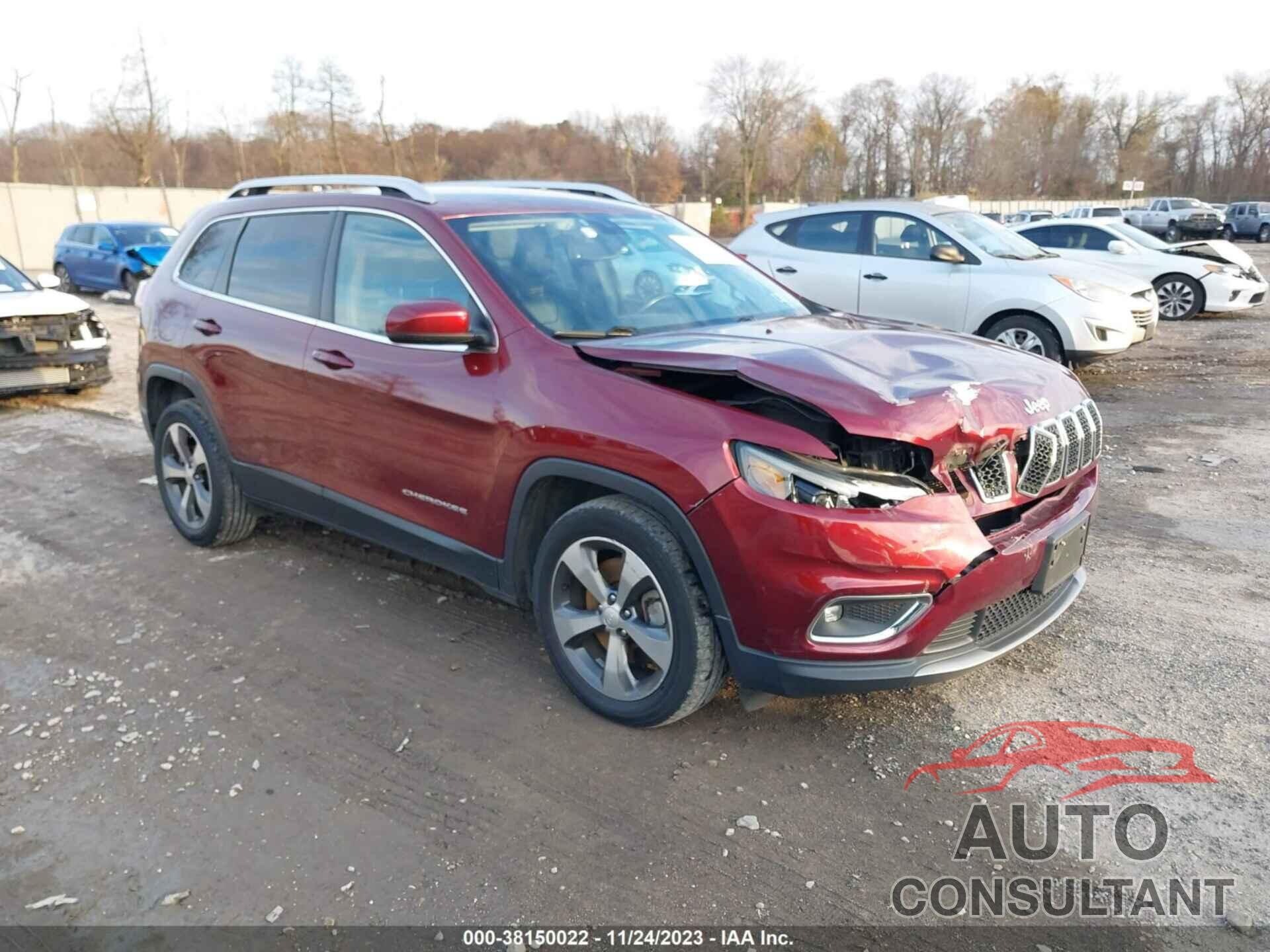 JEEP CHEROKEE 2019 - 1C4PJLDB8KD427544