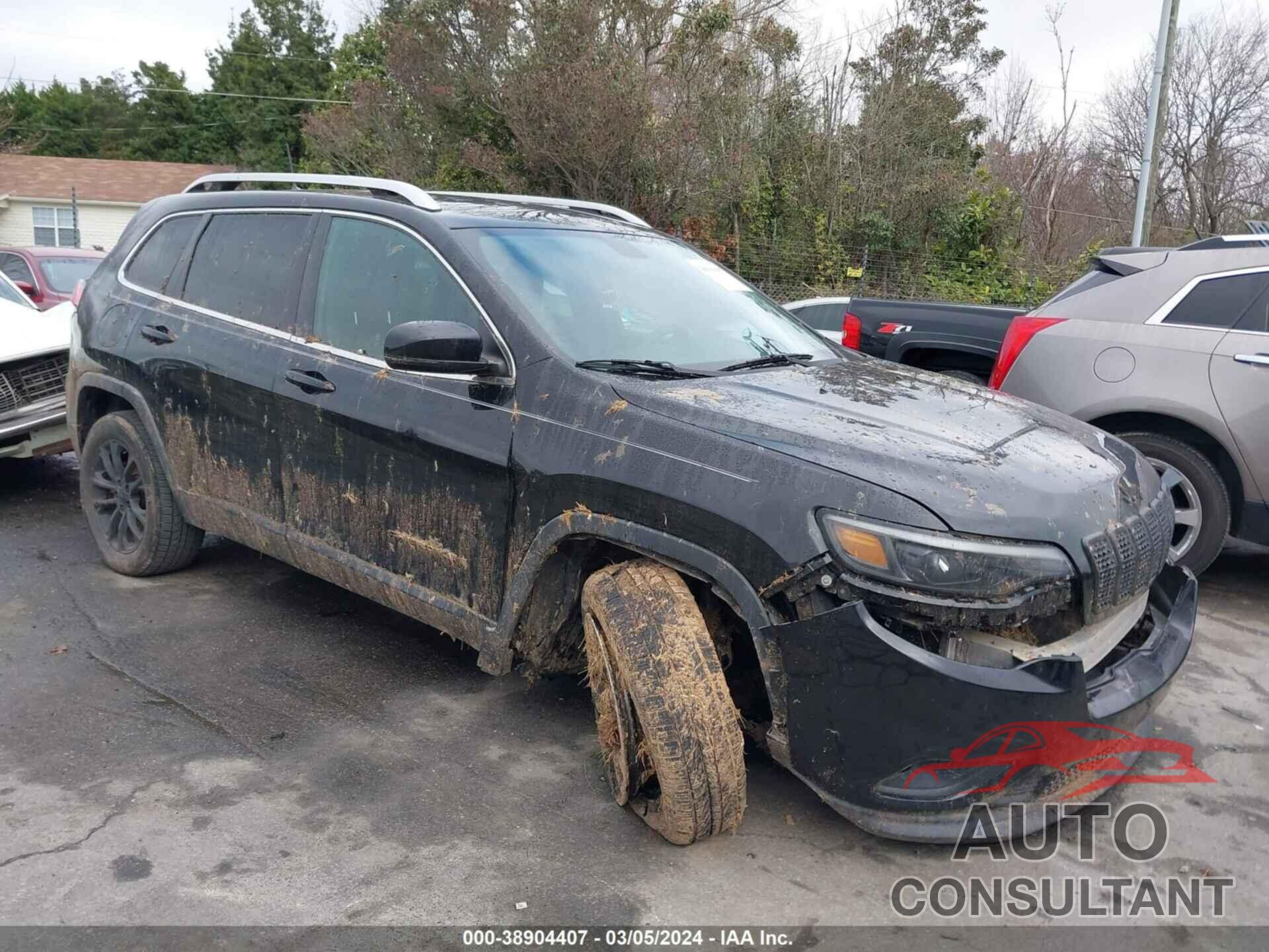 JEEP CHEROKEE 2019 - 1C4PJLLN7KD119793