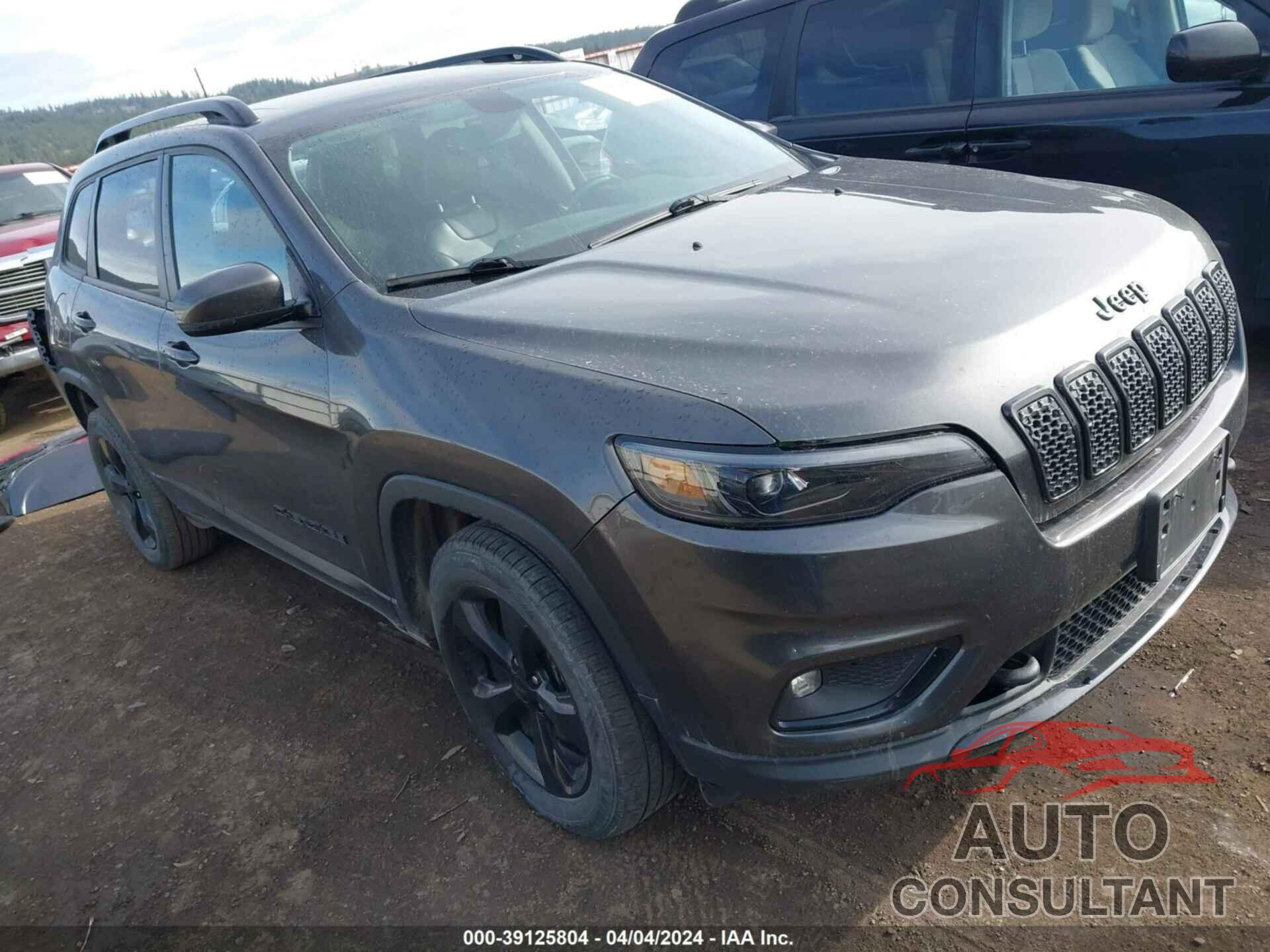 JEEP CHEROKEE 2019 - 1C4PJMLNXKD436277