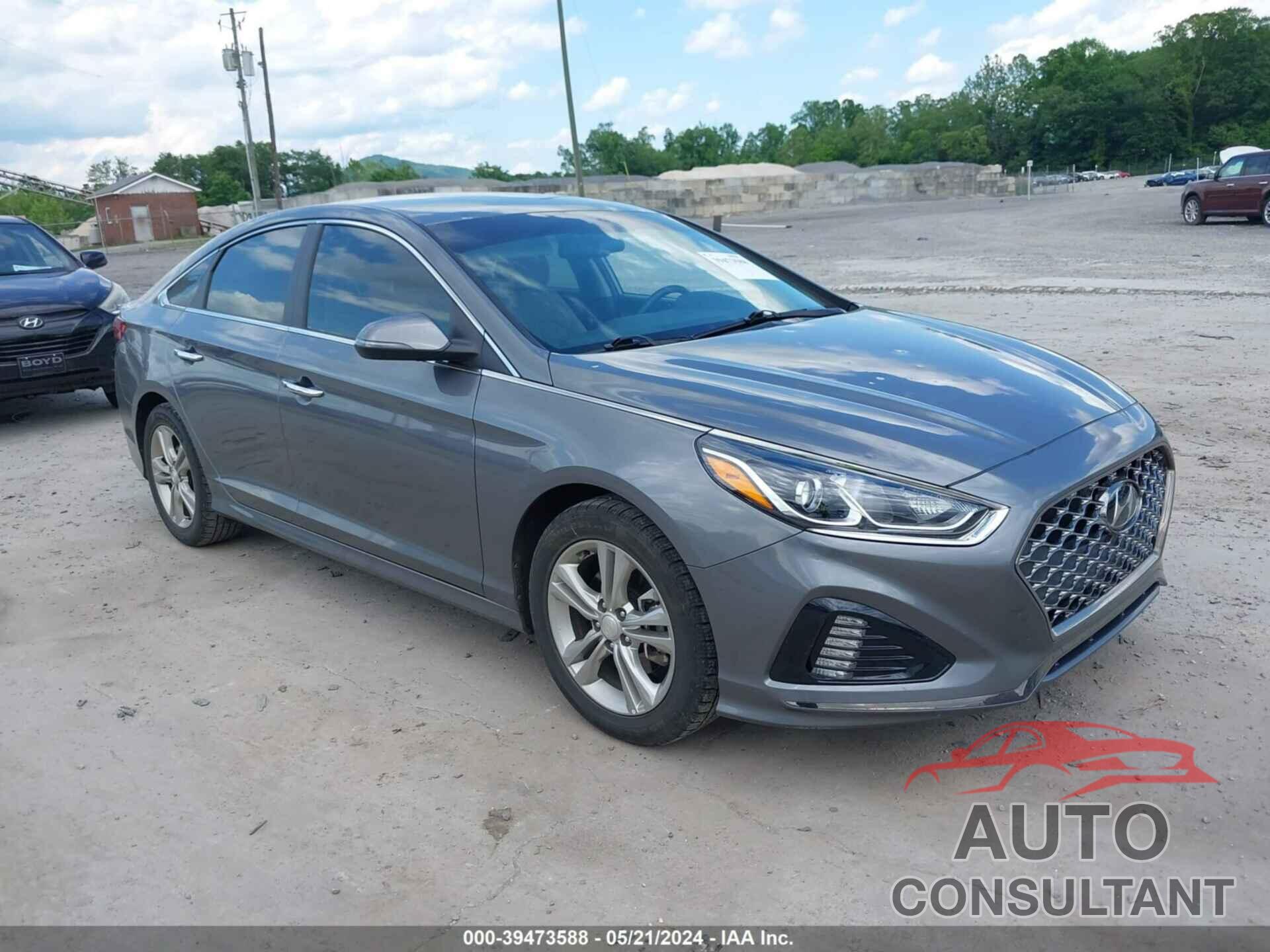 HYUNDAI SONATA 2019 - 5NPE34AF0KH786072