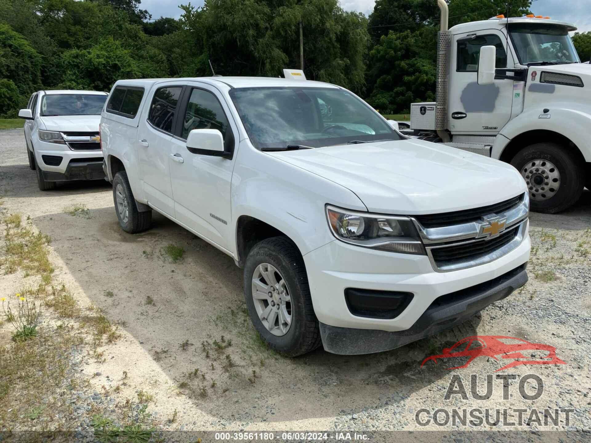 CHEVROLET COLORADO 2019 - 1GCGSCEN4K1171409