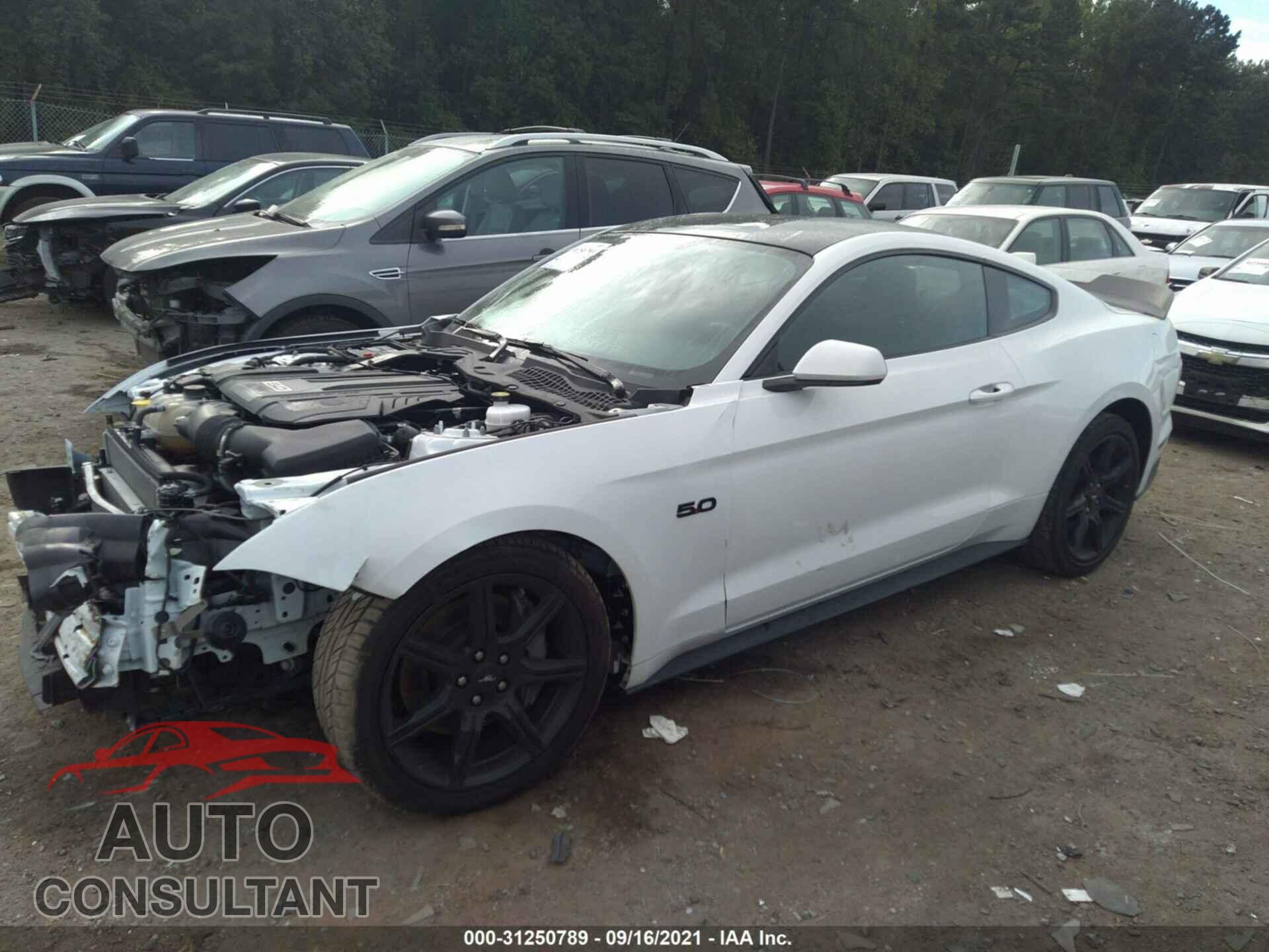 FORD MUSTANG 2019 - 1FA6P8CF7K5124234