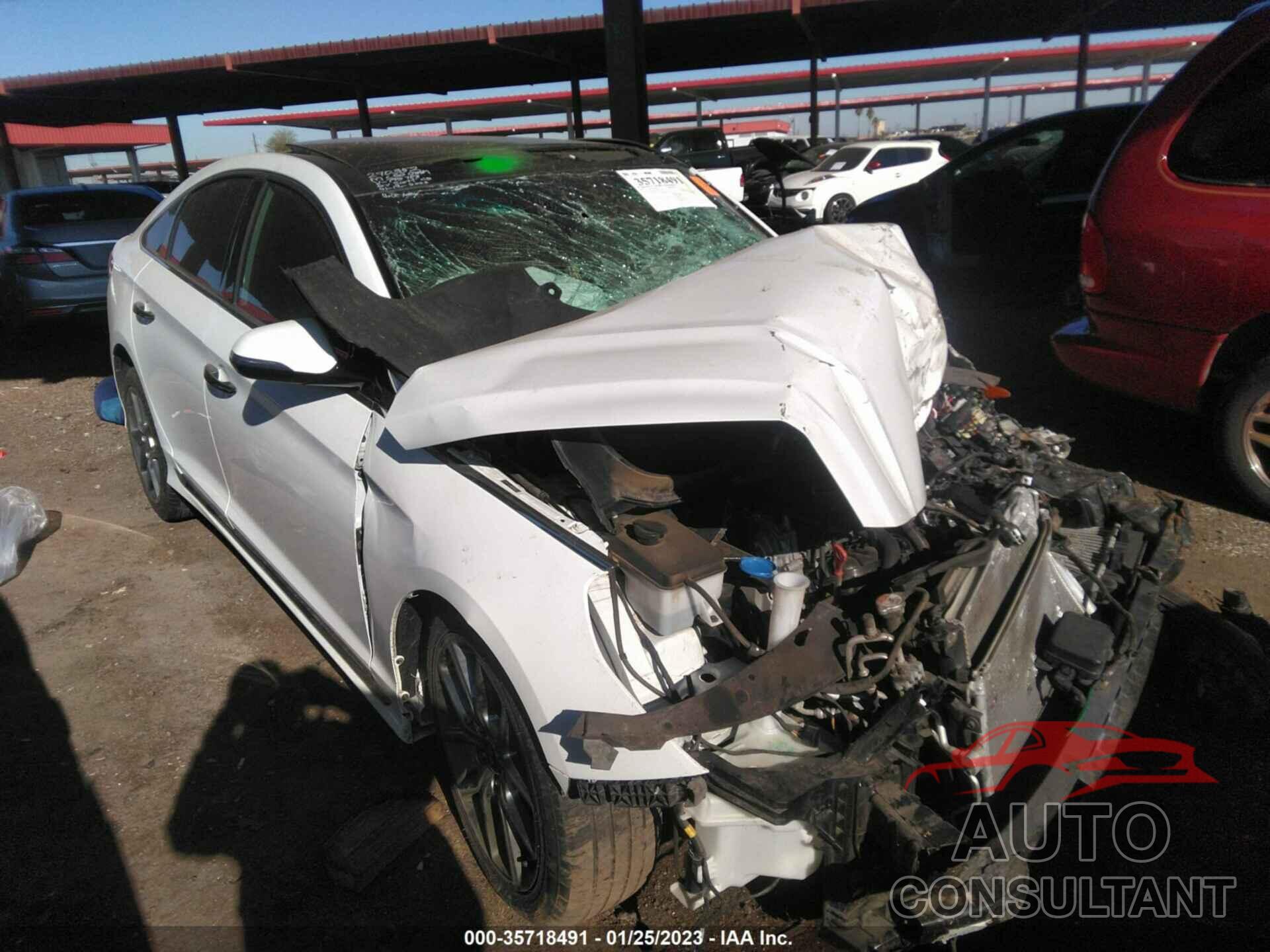 HYUNDAI SONATA 2019 - 5NPE34AB3KH795703