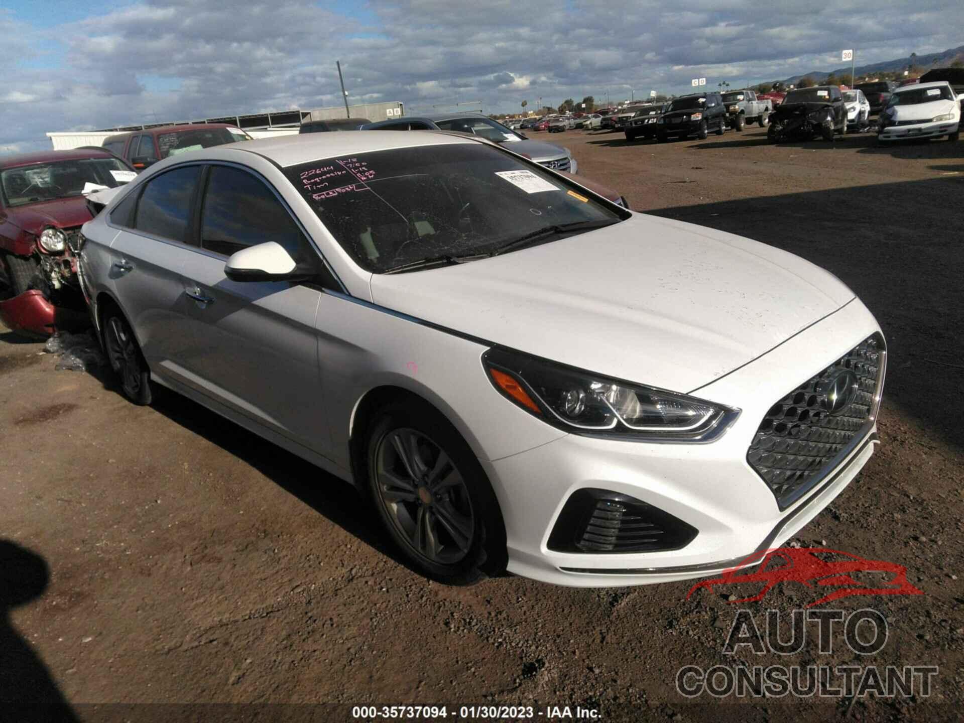 HYUNDAI SONATA 2019 - 5NPE34AF2KH757303