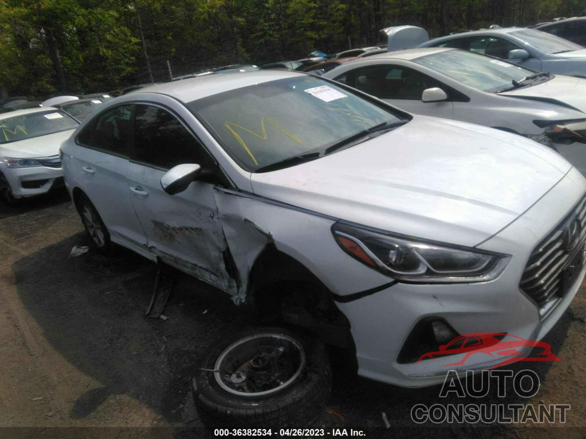 HYUNDAI SONATA 2019 - 5NPE24AF6KH748820
