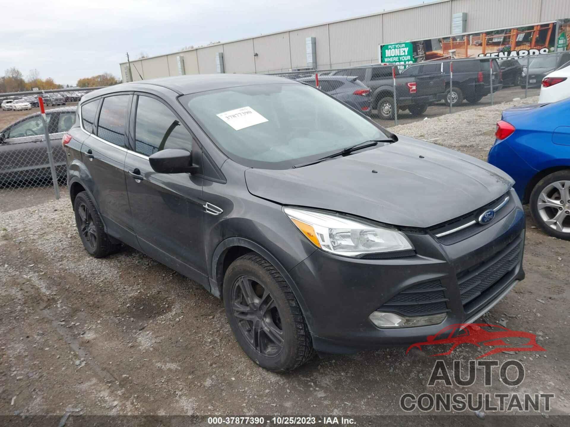 FORD ESCAPE 2016 - 1FMCU9GXXGUC16087