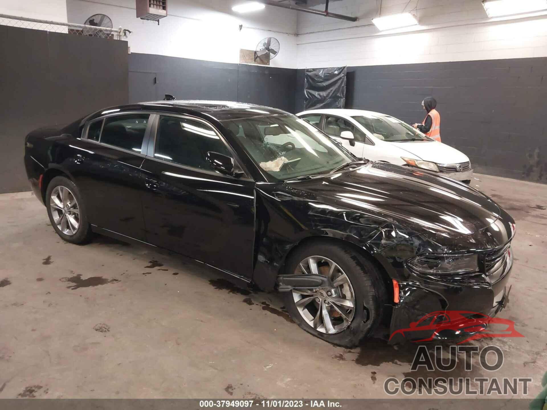 DODGE CHARGER 2023 - 2C3CDXJG8PH556959