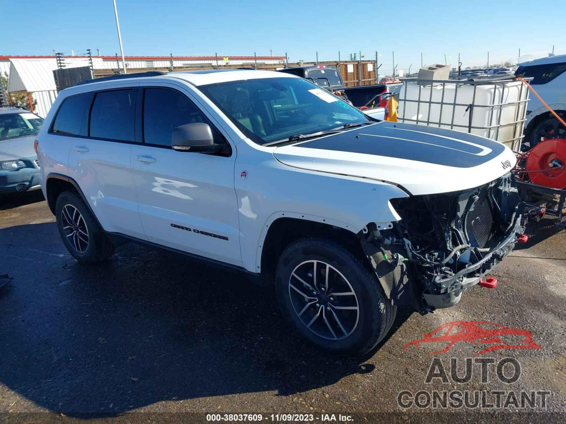 JEEP GRAND CHEROKEE 2019 - 1C4RJFLG1KC613150