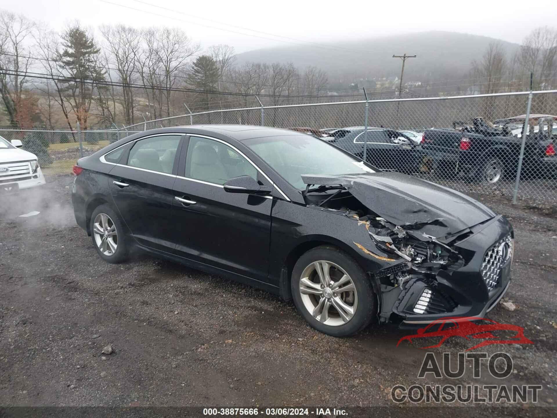 HYUNDAI SONATA 2019 - 5NPE34AF7KH803546