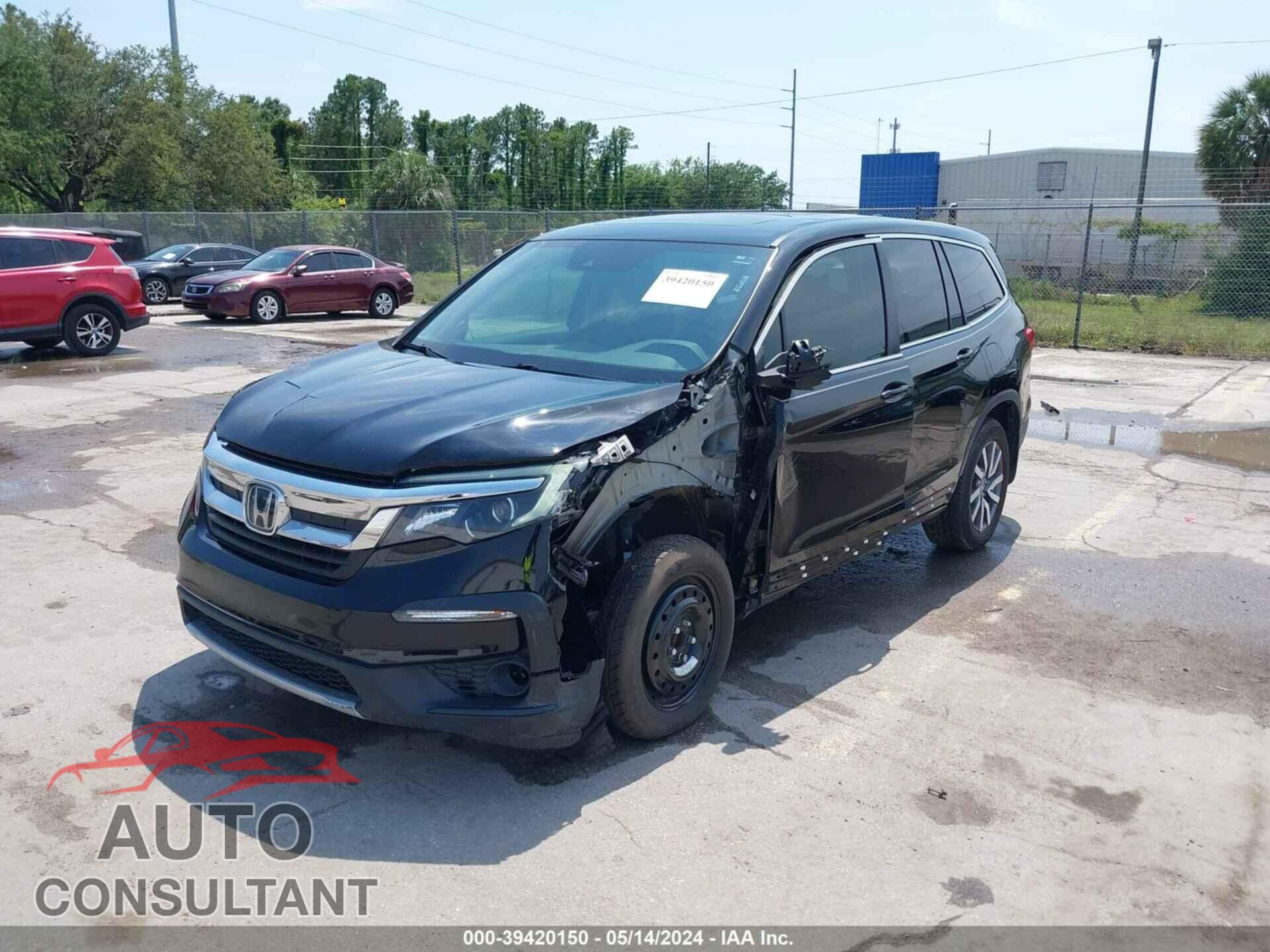 HONDA PILOT 2019 - 5FNYF5H55KB031876