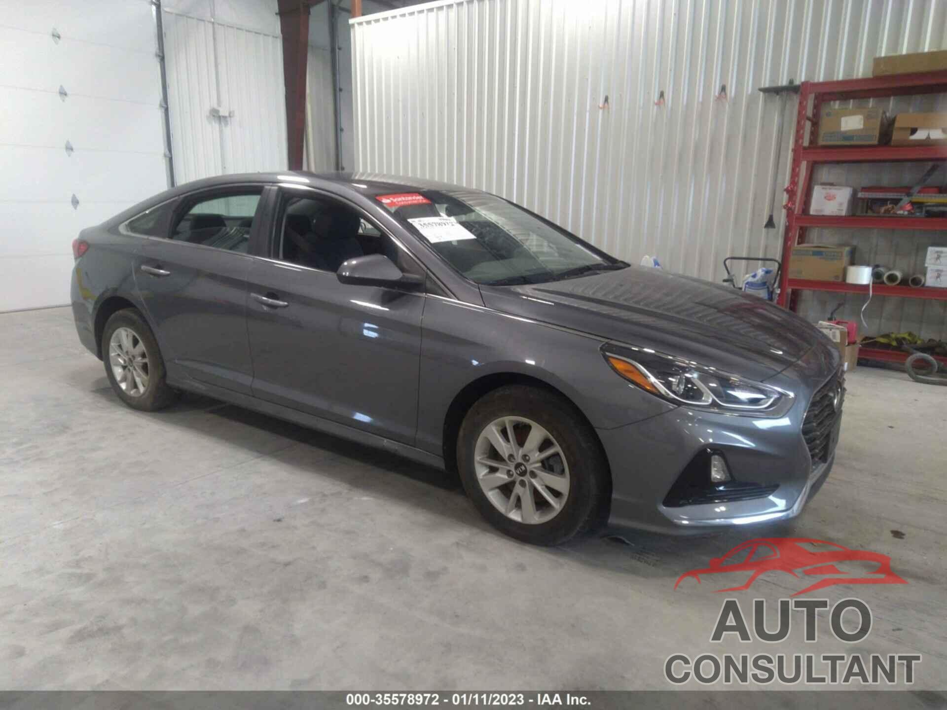 HYUNDAI SONATA 2019 - 5NPE24AFXKH791721