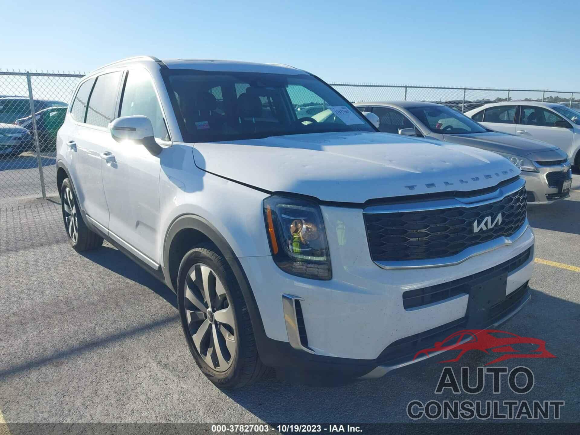 KIA TELLURIDE 2022 - 5XYP6DHC3NG213044