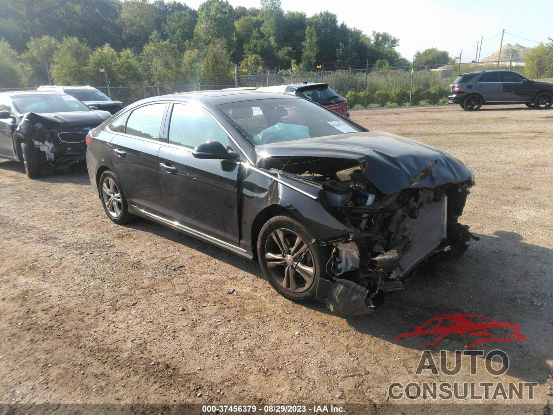 HYUNDAI SONATA 2018 - 5NPE34AF4JH687396