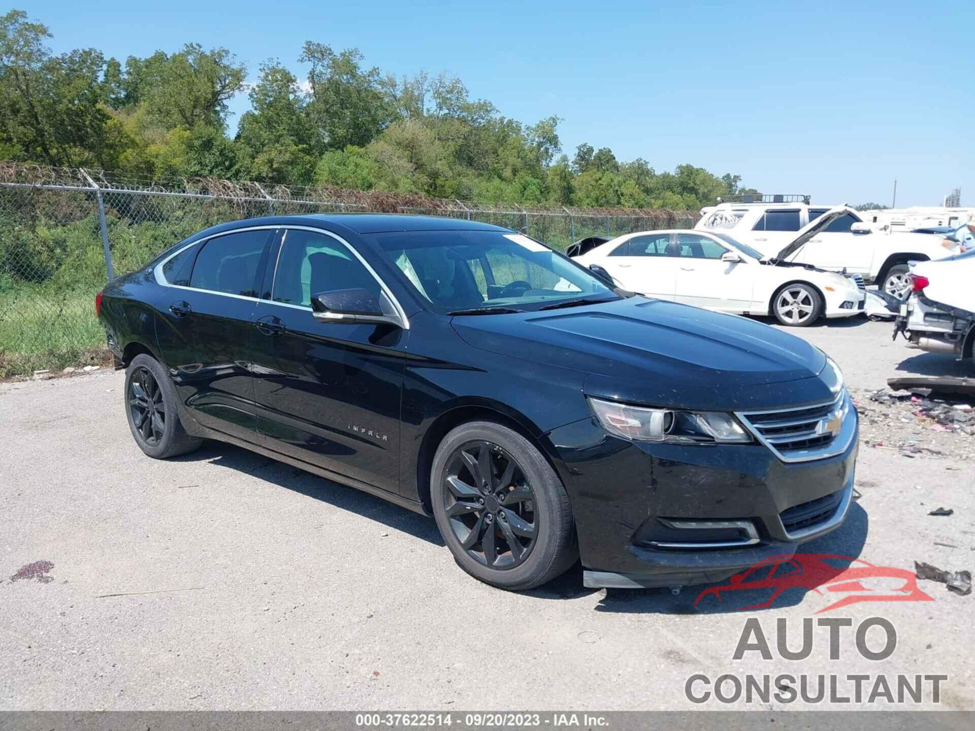 CHEVROLET IMPALA 2019 - 1G11Z5S36KU115706