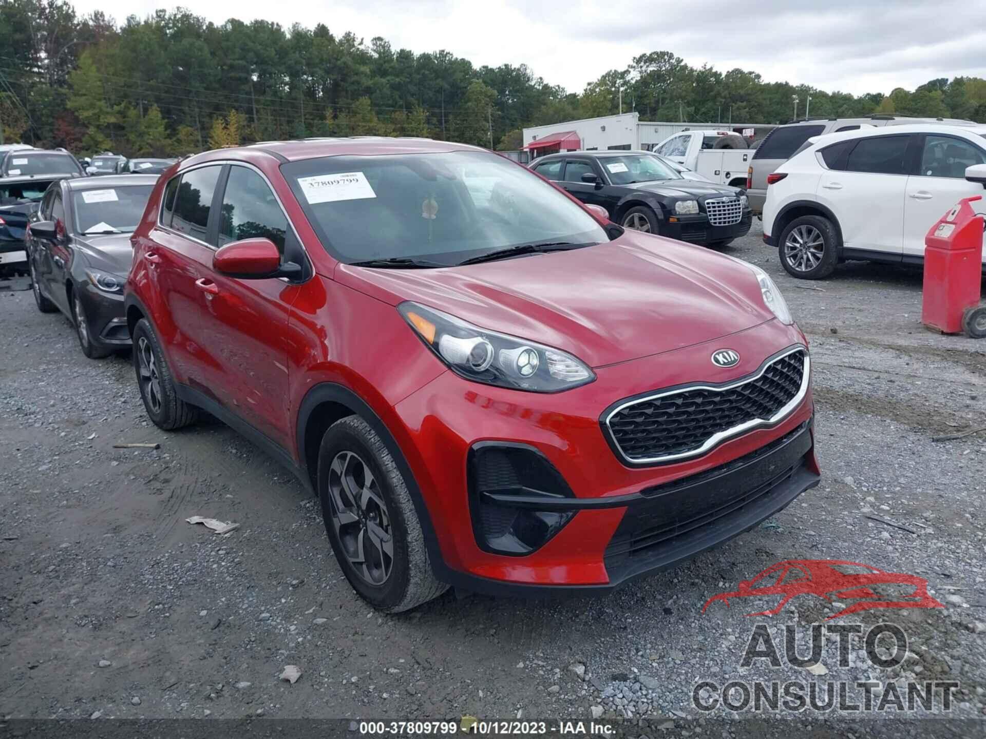 KIA SPORTAGE 2022 - KNDPM3AC1N7980592