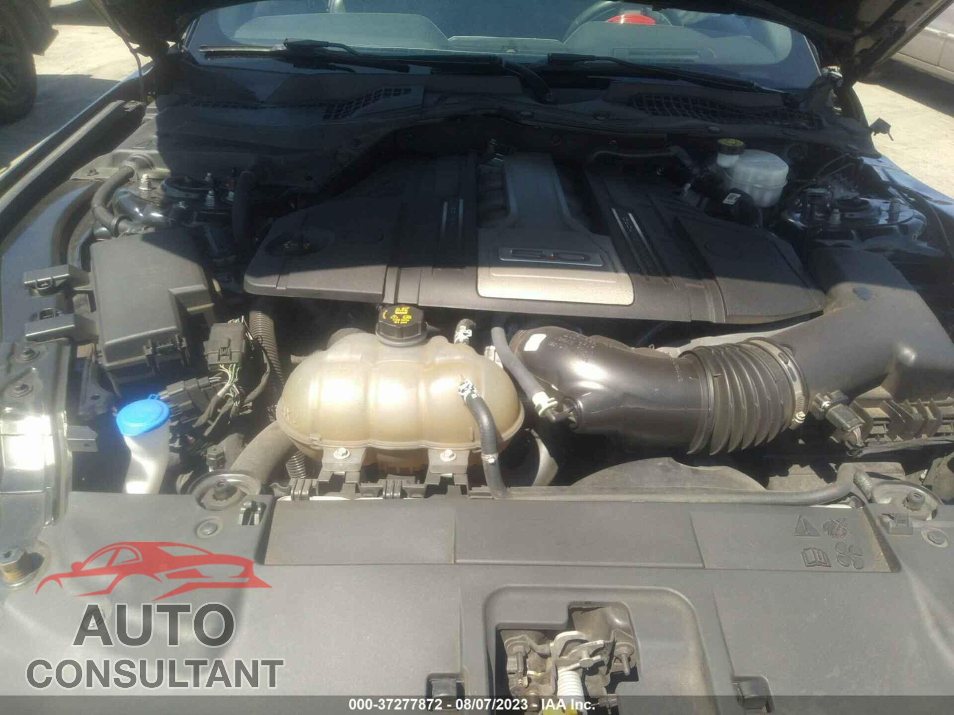 FORD MUSTANG 2020 - 1FA6P8CF9L5145717