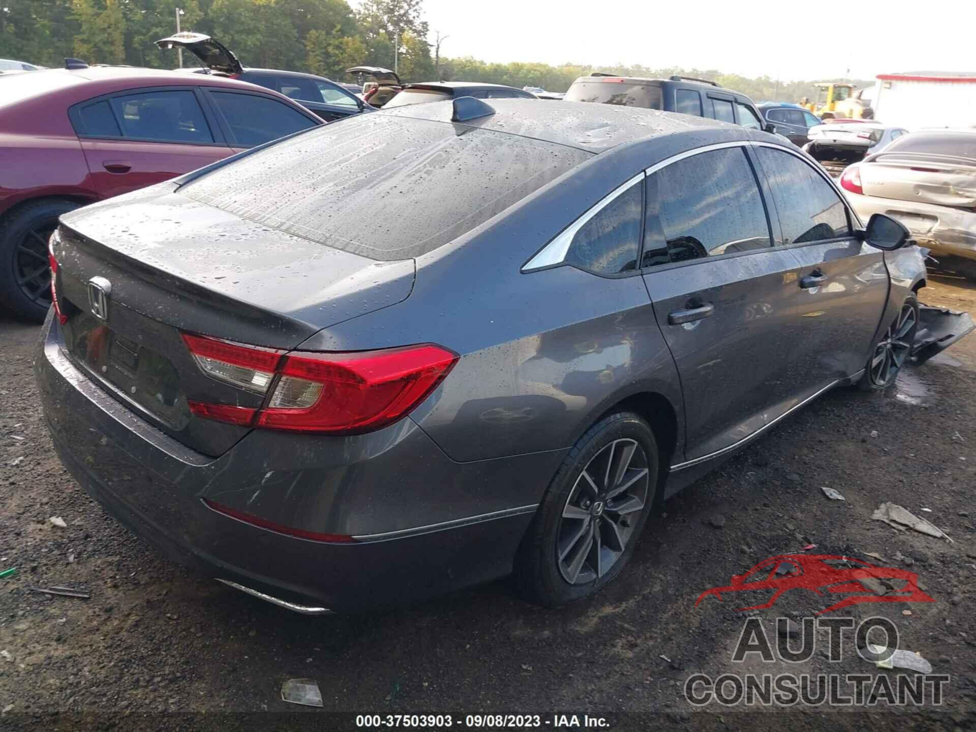 HONDA ACCORD 2021 - 1HGCV1F53MA113644