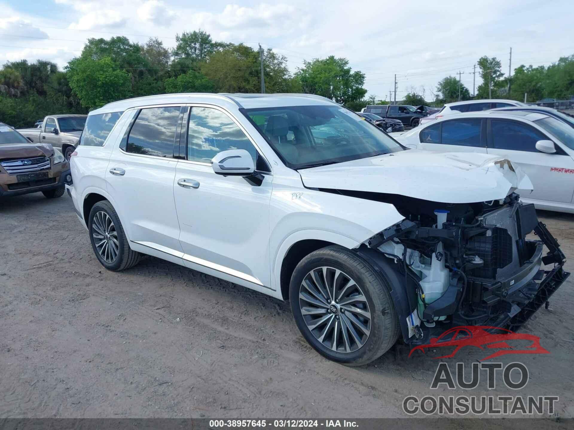 HYUNDAI PALISADE 2023 - KM8R74GEXPU592159