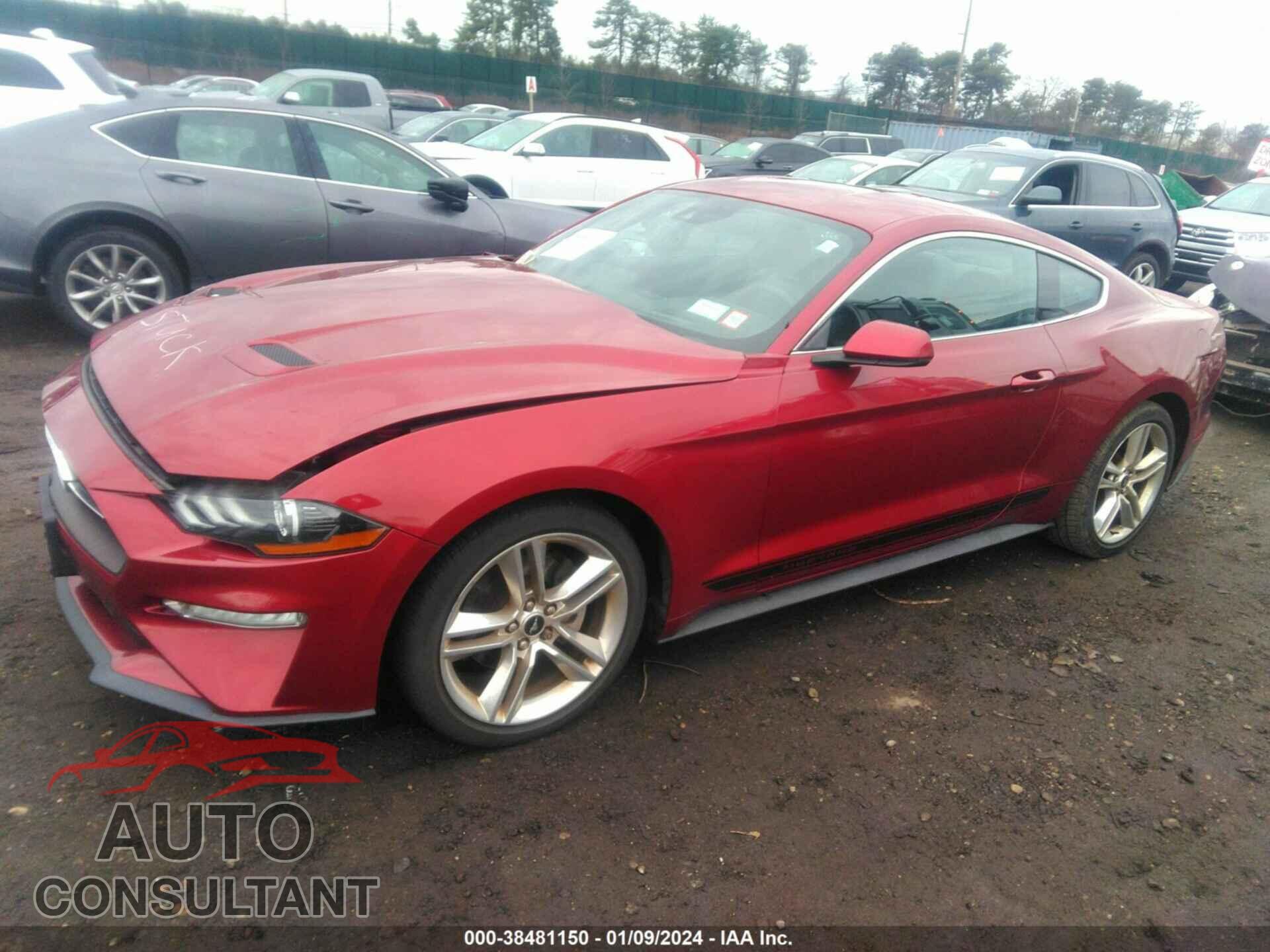 FORD MUSTANG 2019 - 1FA6P8TH1K5180414