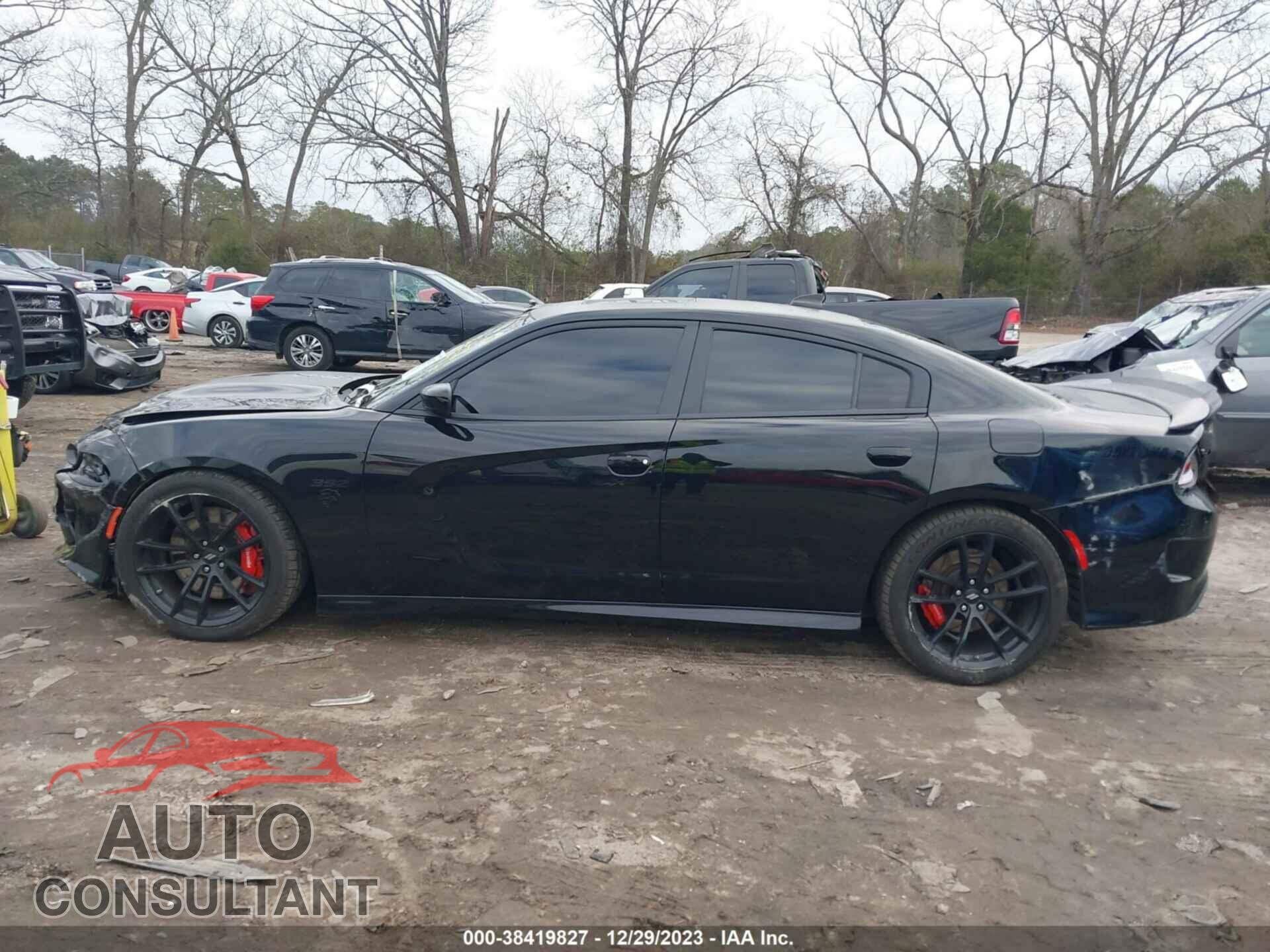 DODGE CHARGER 2019 - 2C3CDXGJ3KH696610