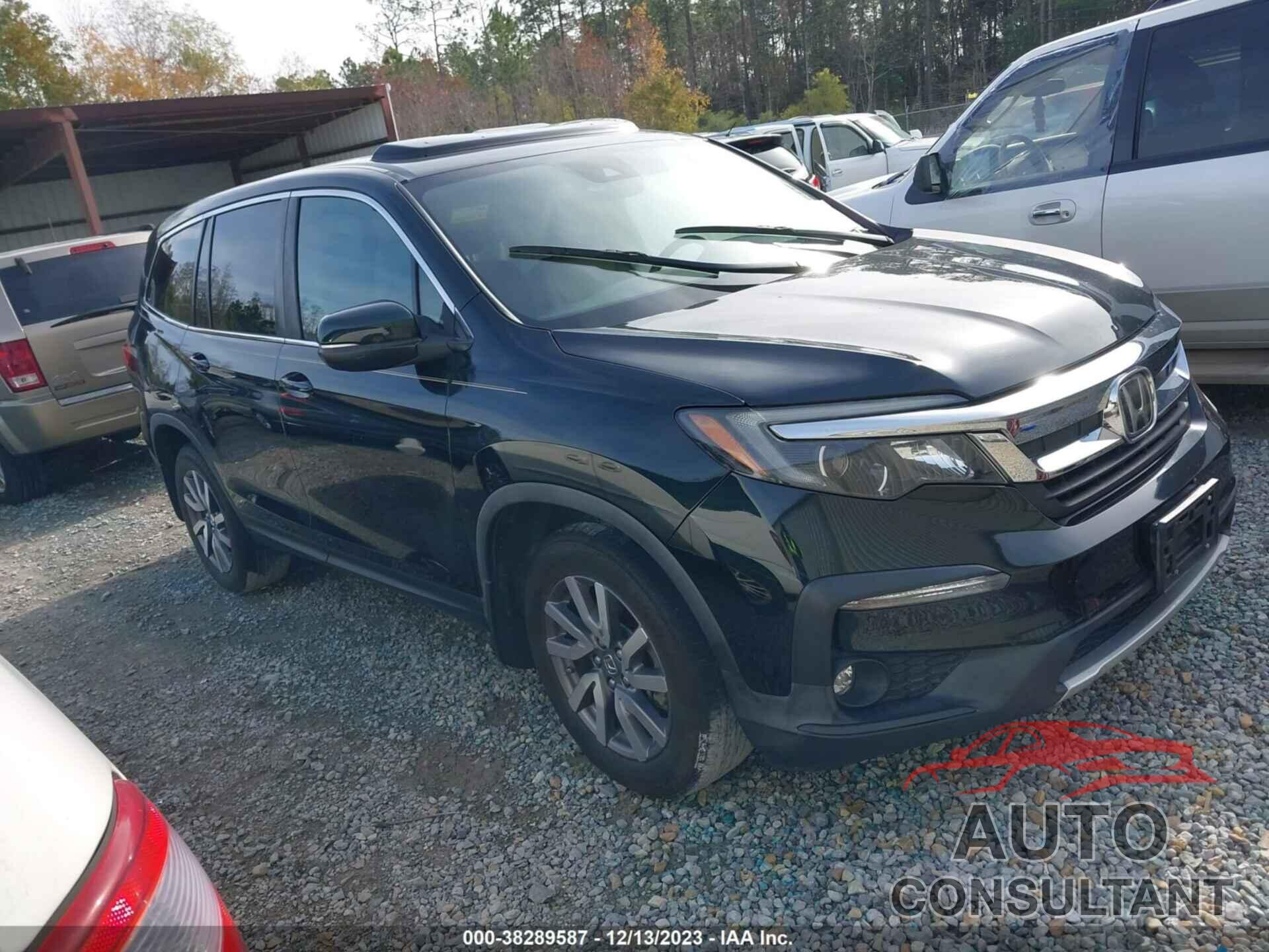 HONDA PILOT 2019 - 5FNYF5H57KB012617
