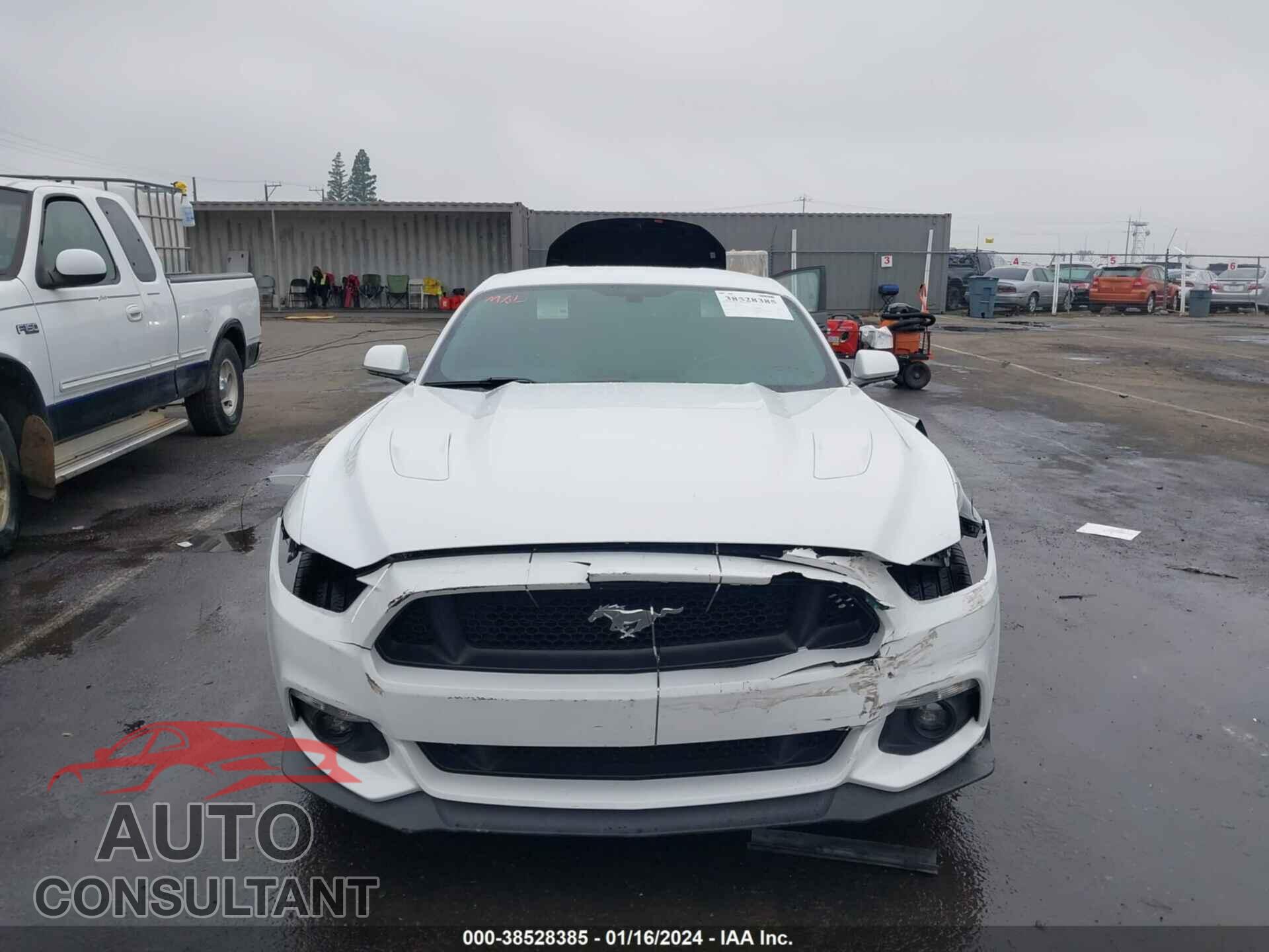 FORD MUSTANG 2017 - 1FA6P8CF6H5307035