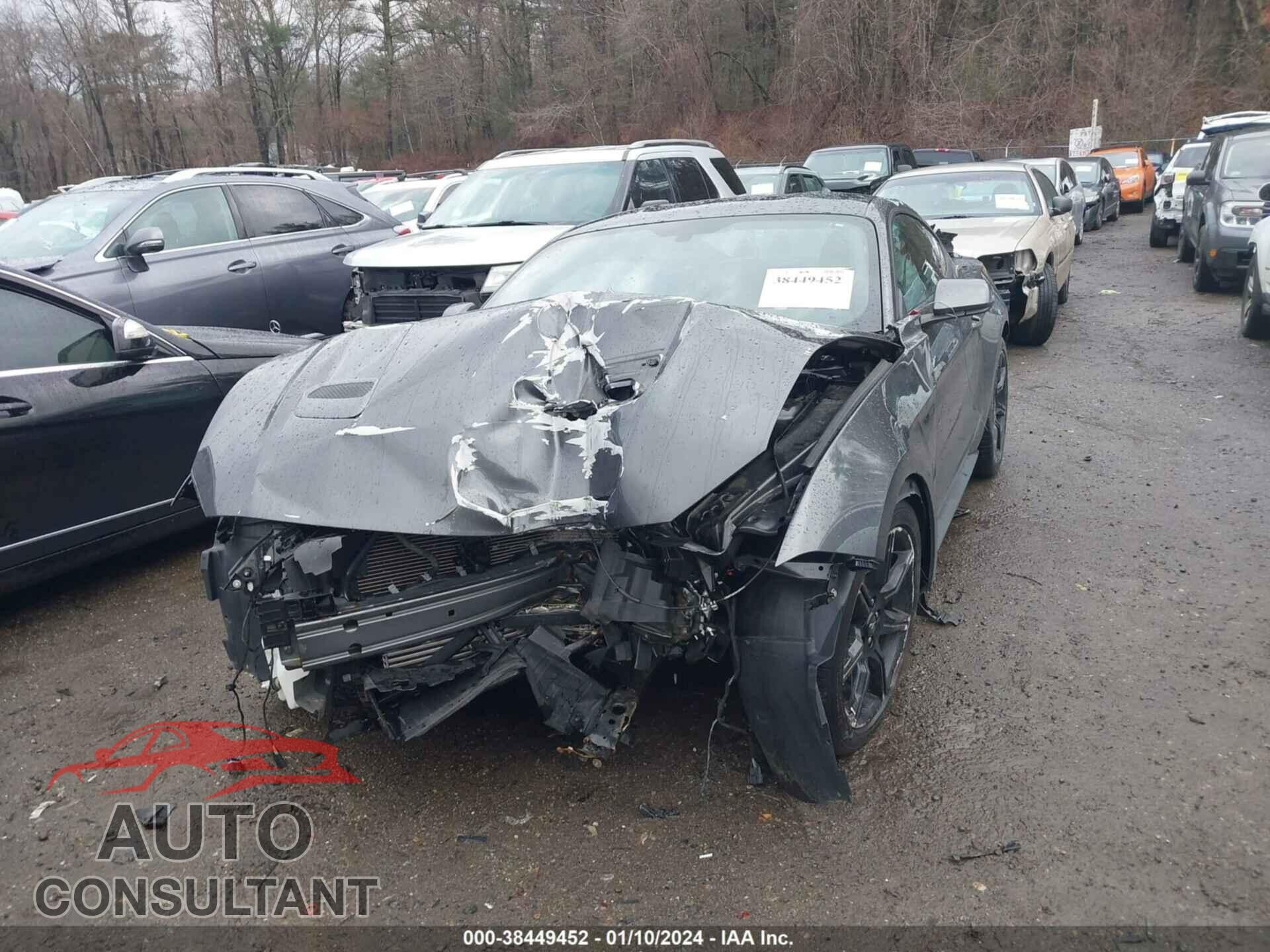 FORD MUSTANG 2019 - 1FA6P8THXK5205018