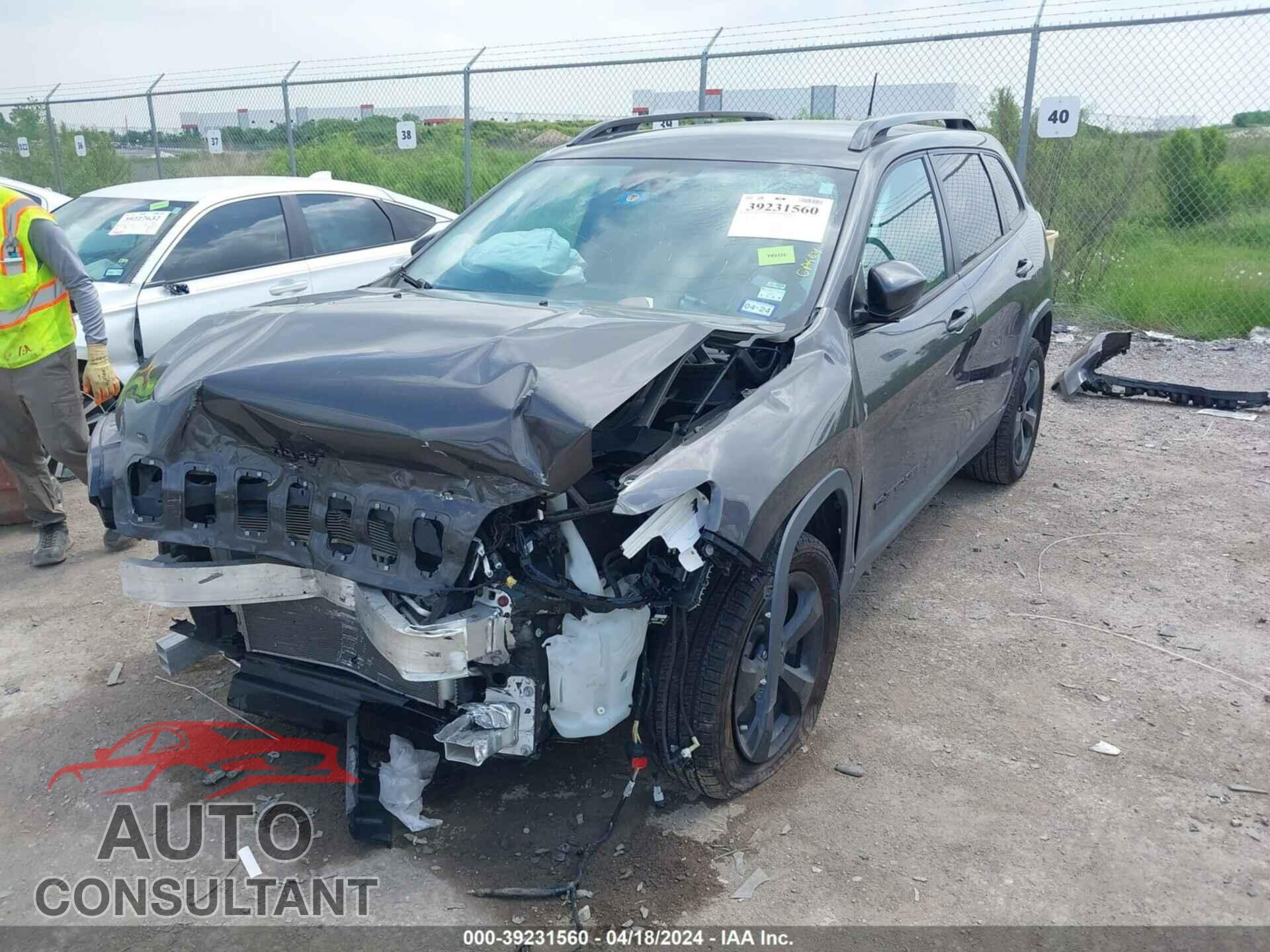 JEEP CHEROKEE 2021 - 1C4PJLLB1MD112833
