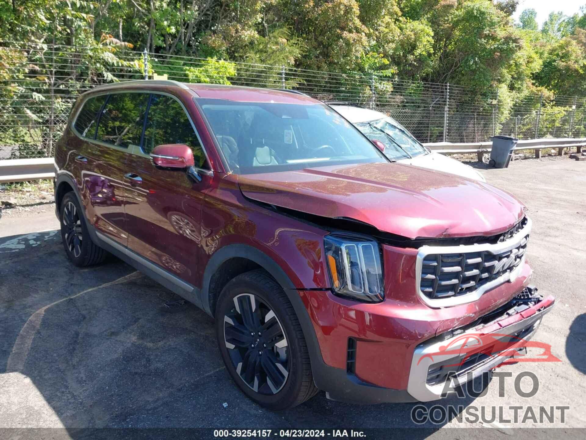 KIA TELLURIDE 2024 - 5XYP5DGC1RG408148