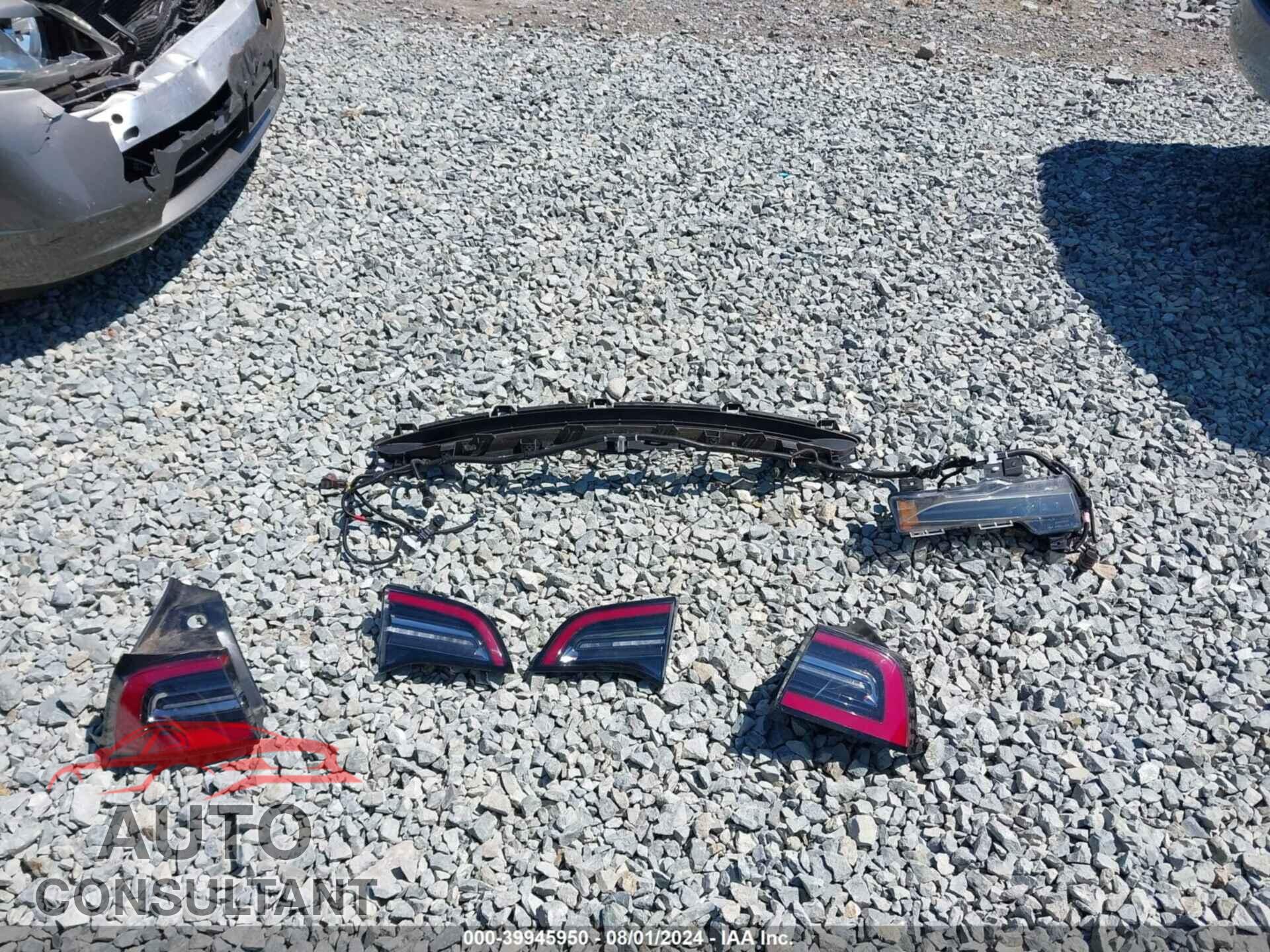 TESLA MODEL 3 2019 - 5YJ3E1EA5KF361833