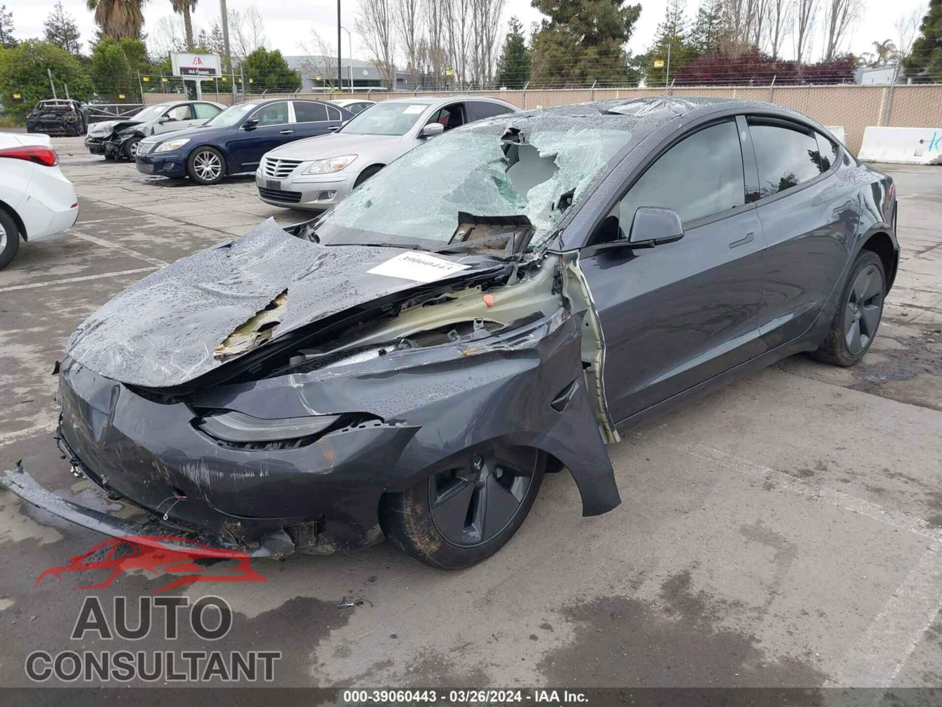 TESLA MODEL 3 2023 - 5YJ3E1EB8PF704666