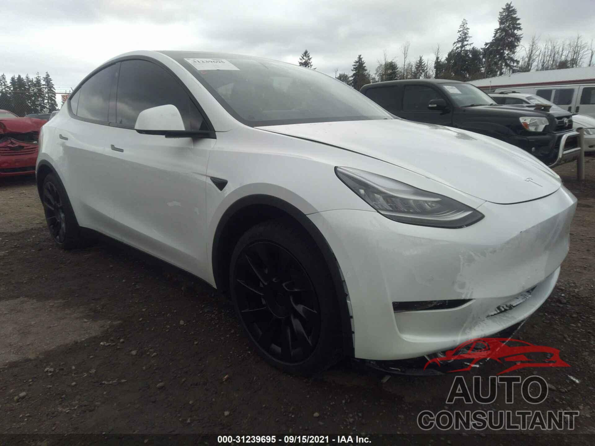 TESLA MODEL Y 2021 - 5YJYGDEE8MF138984