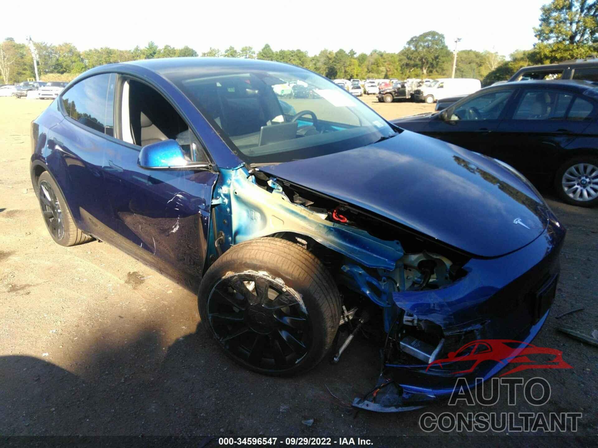 TESLA MODEL Y 2022 - 7SAYGDEE8NF481055