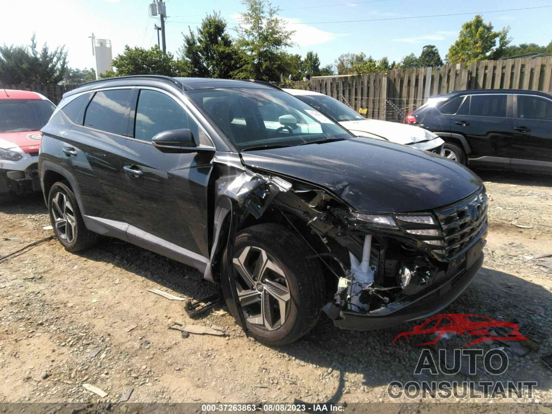 HYUNDAI TUCSON 2023 - 5NMJECAE9PH164309