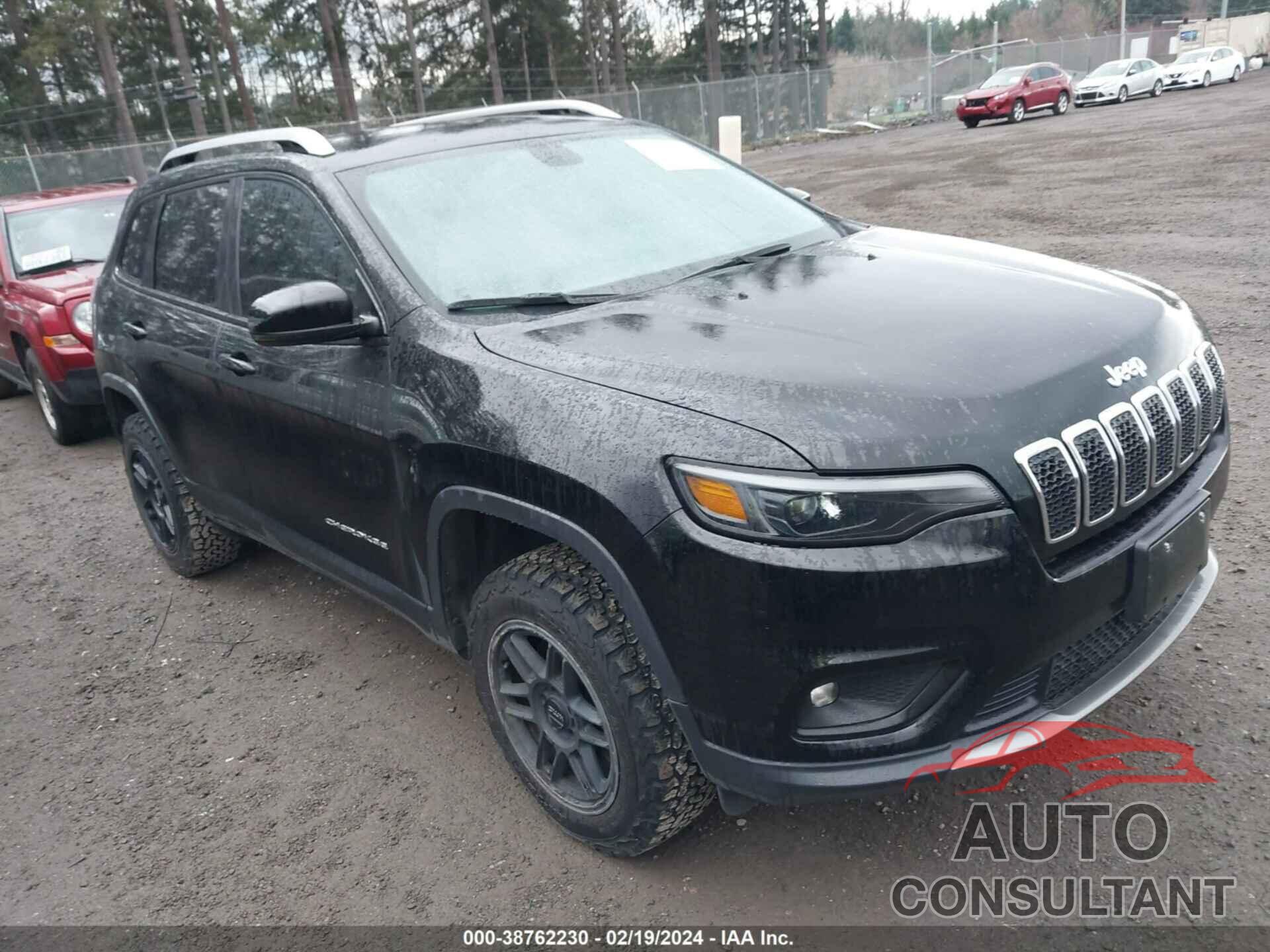 JEEP CHEROKEE 2019 - 1C4PJMDX2KD345326