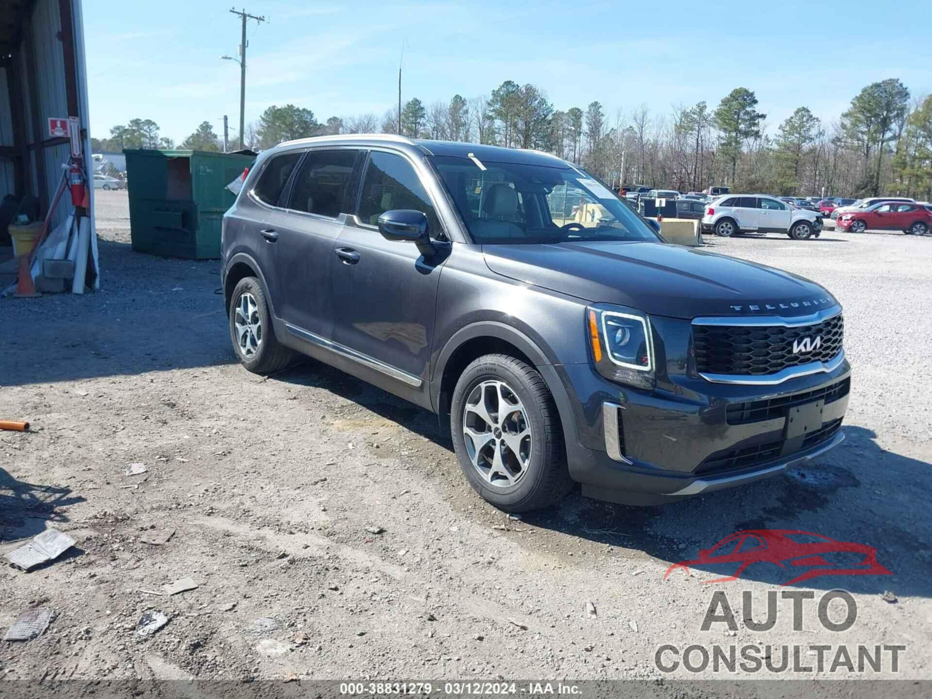 KIA TELLURIDE 2022 - 5XYP34HC6NG220322