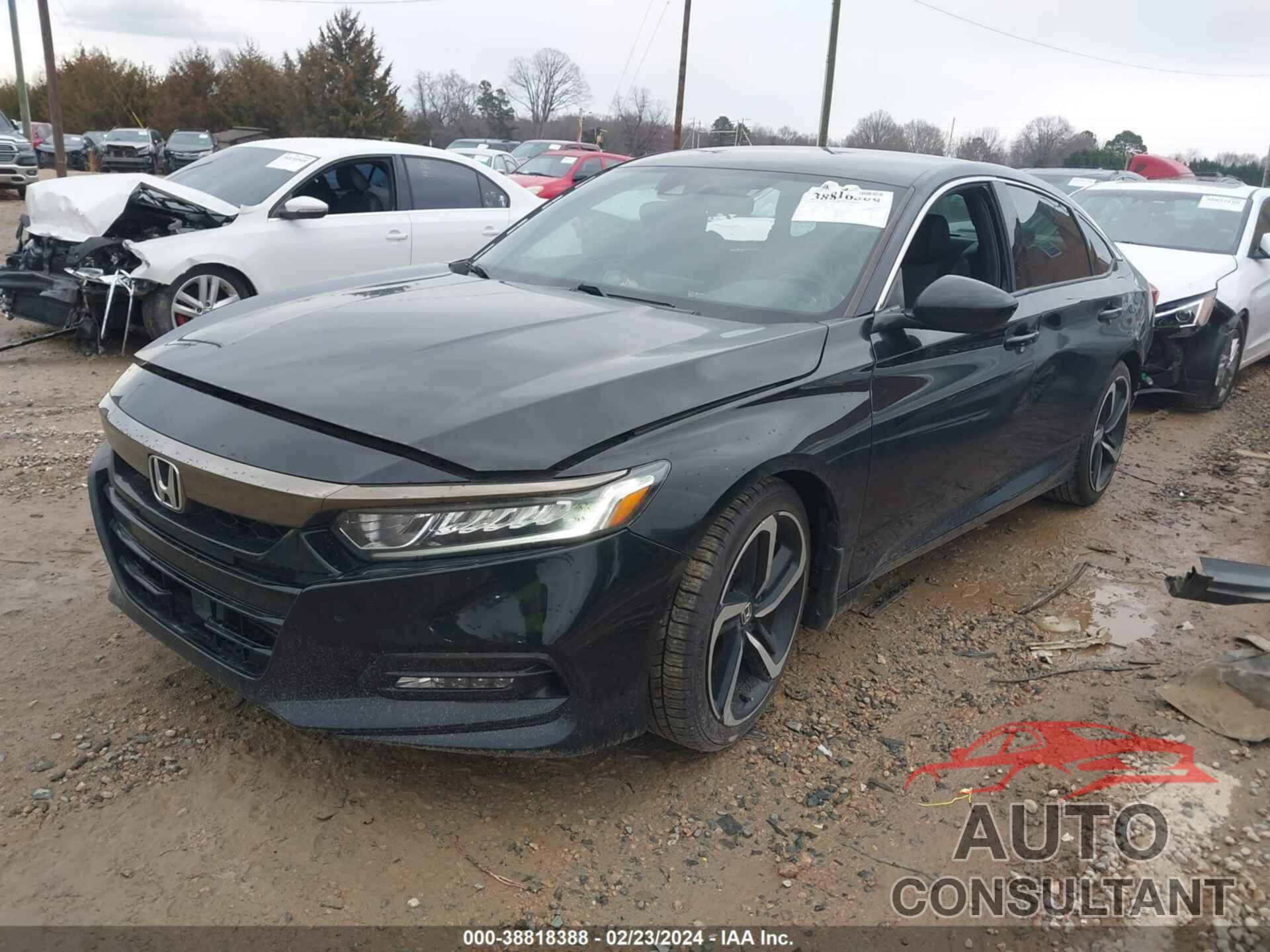 HONDA ACCORD 2019 - 1HGCV1F32KA061077