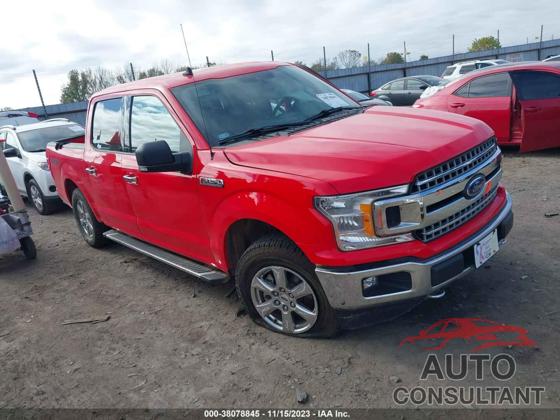 FORD F-150 2019 - 1FTEW1EP1KKD02596