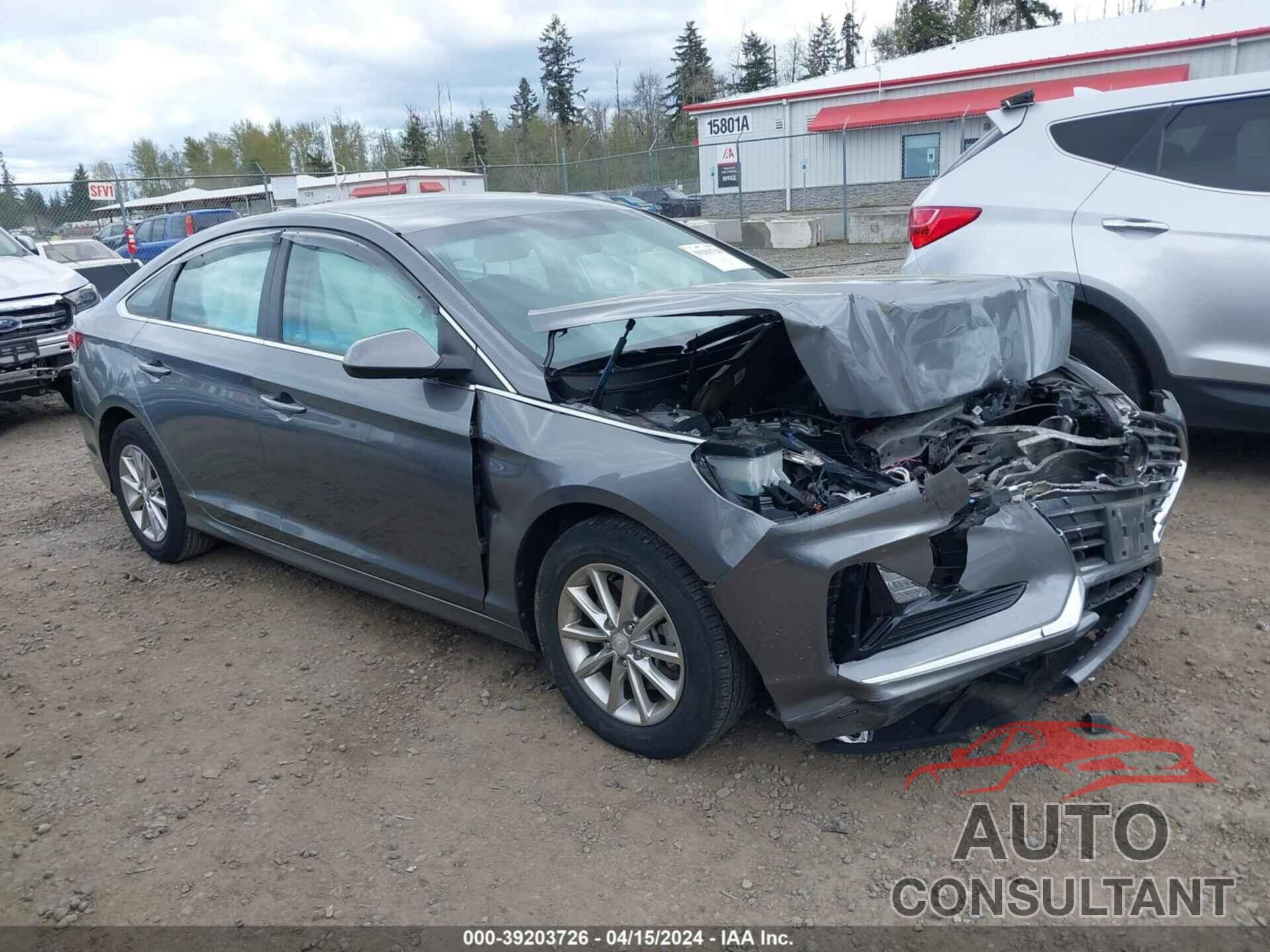 HYUNDAI SONATA 2019 - 5NPE24AF7KH746364