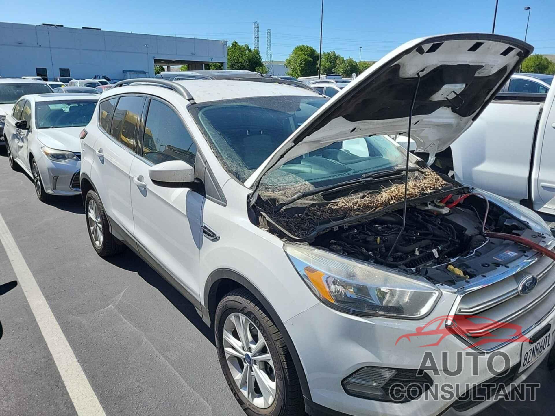 FORD ESCAPE 2018 - 1FMCU9GD6JUB54703