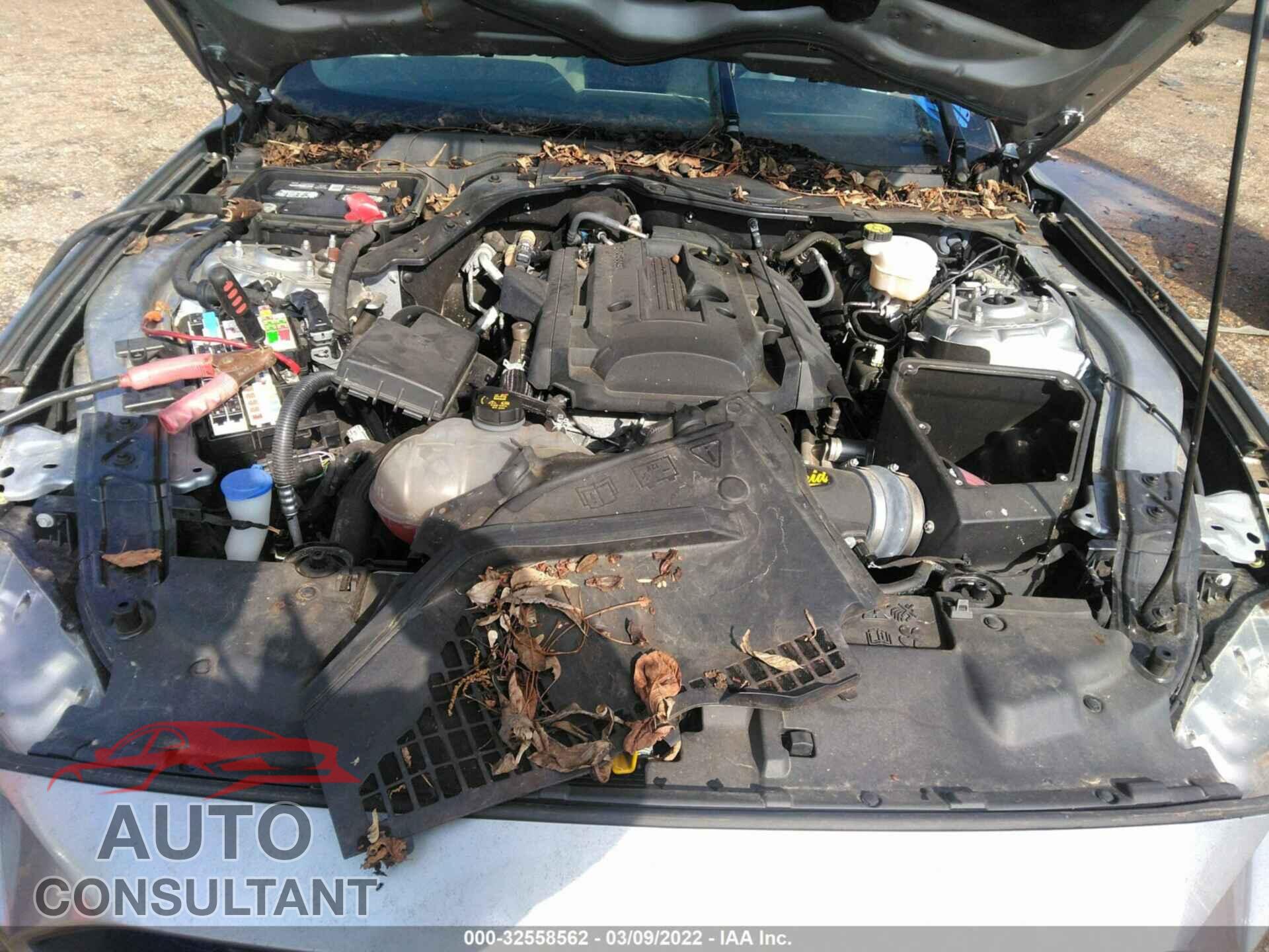 FORD MUSTANG 2020 - 1FA6P8TH2L5123253