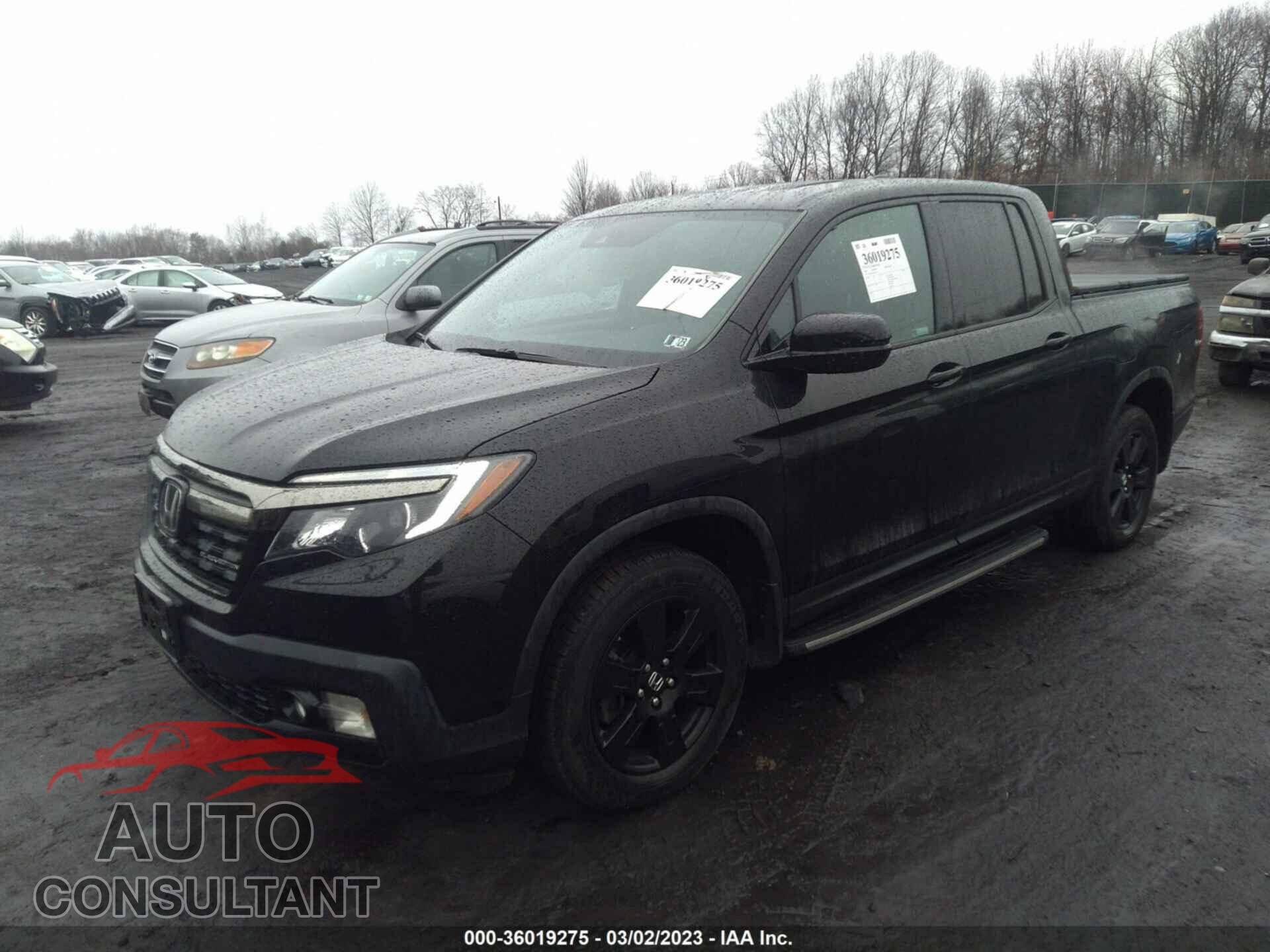 HONDA RIDGELINE 2019 - 5FPYK3F82KB031127