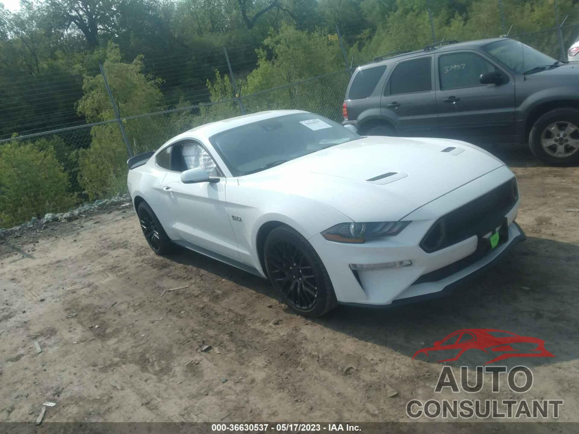 FORD MUSTANG 2019 - 1FA6P8CF8K5201595