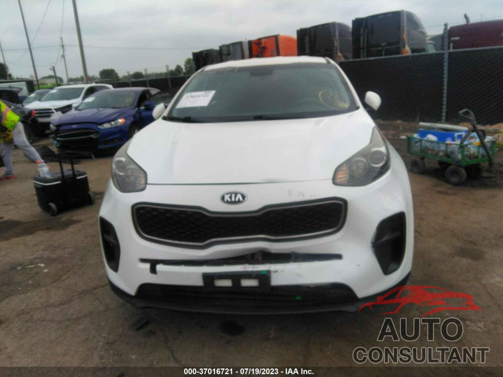 KIA SPORTAGE 2017 - KNDPM3AC4H7076871