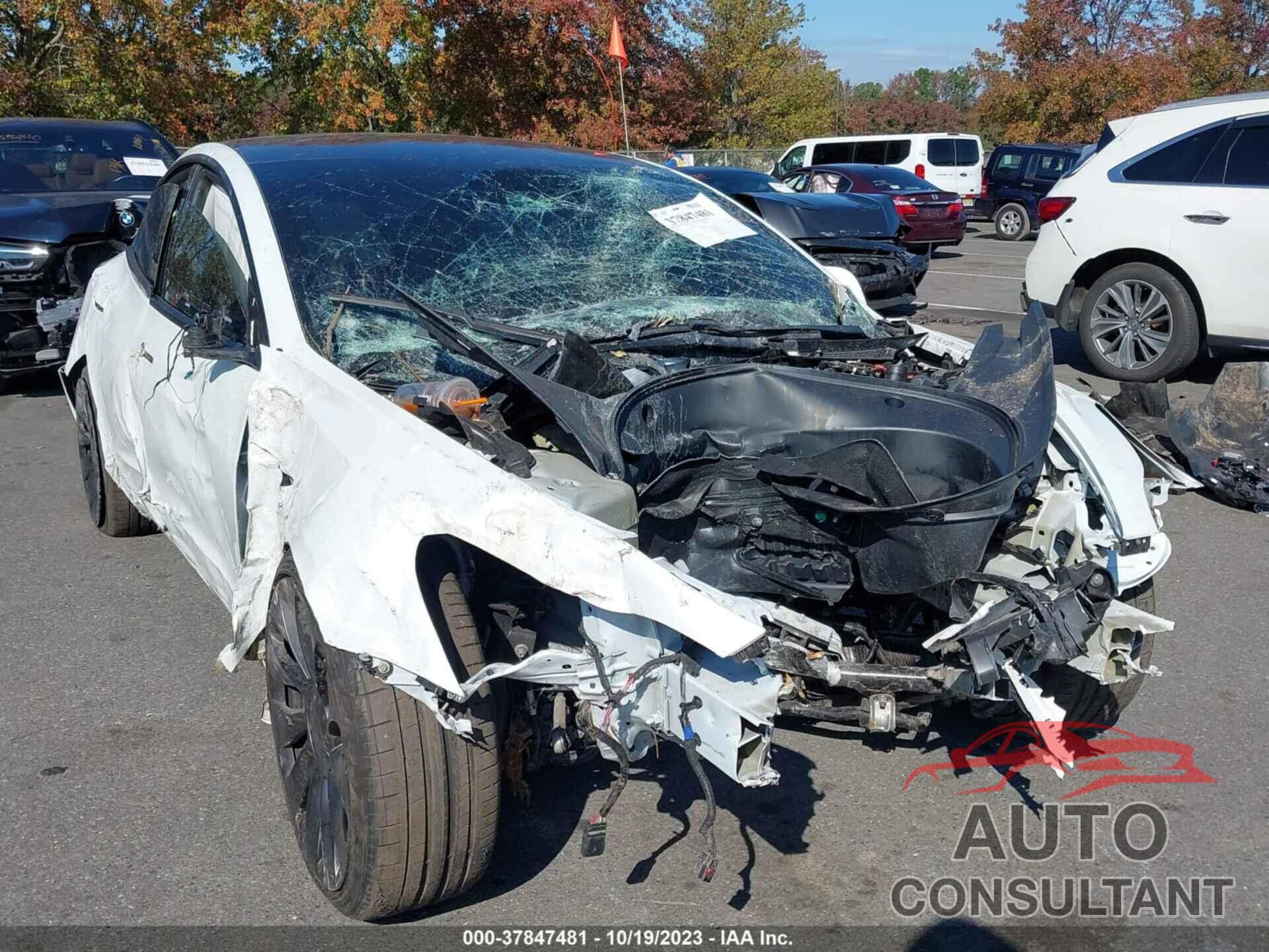 TESLA MODEL 3 2021 - 5YJ3E1EC2MF925541